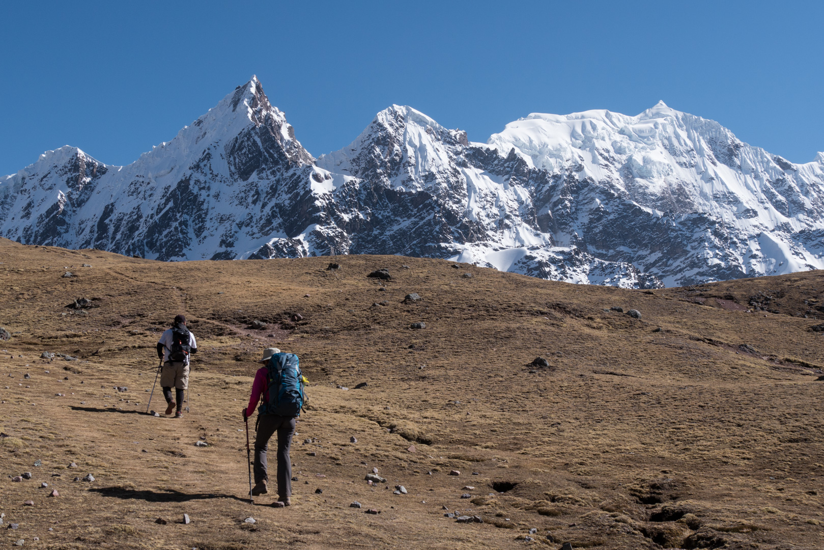 Montée au col Jampa - Col Jampa > Pacchanta (4300 m)