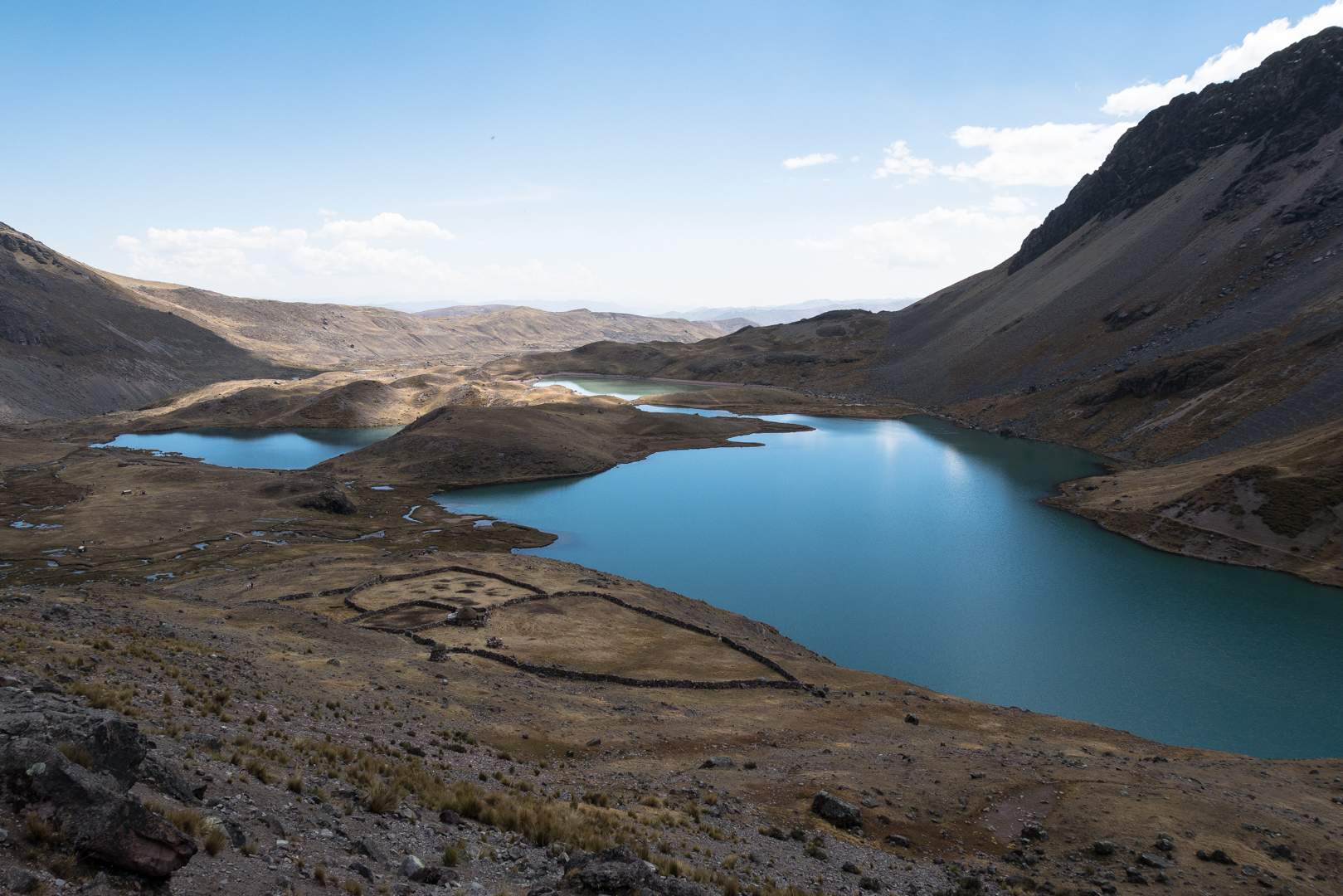 Laguna Pucacocha et Uturungococha - Col Jampa > Pacchanta (4300 m)