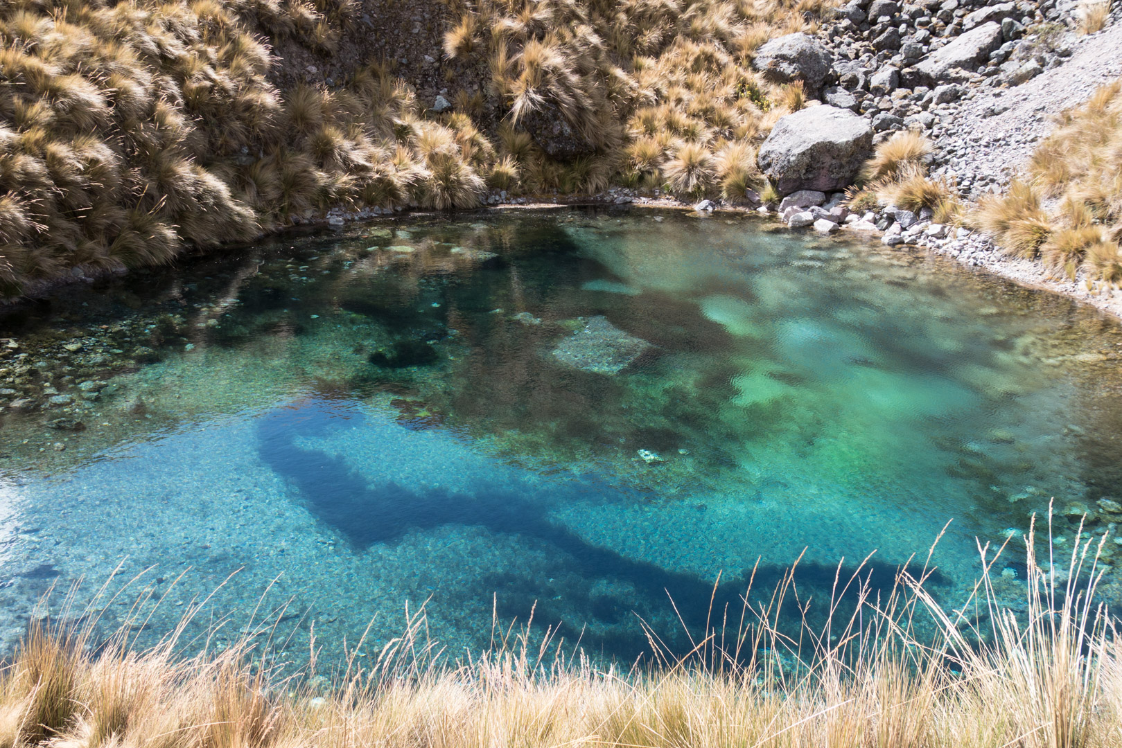 Une lagune - Col Jampa > Pacchanta (4300 m)