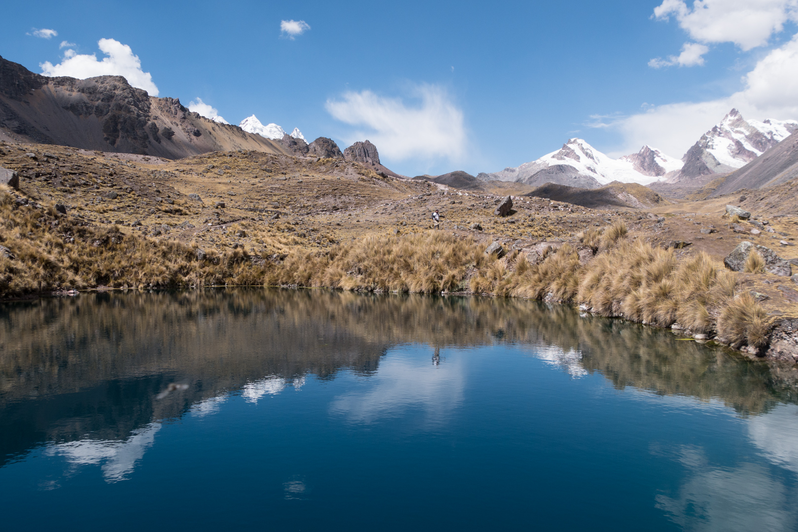 Col Jampa > Pacchanta (4300 m)