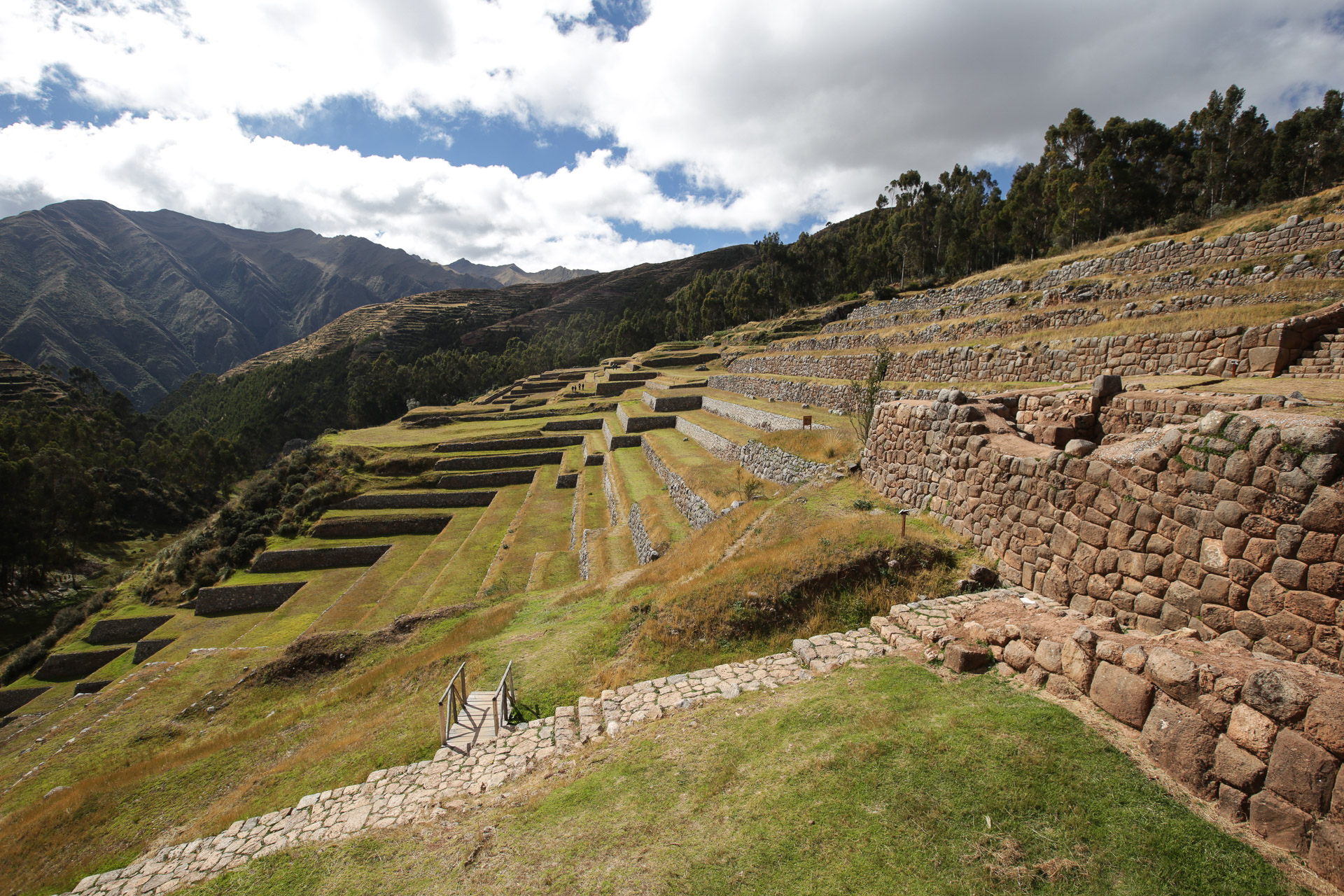 Les "andenes", les antiques terrasses des Incas - De Cusco à Aguas Calientes