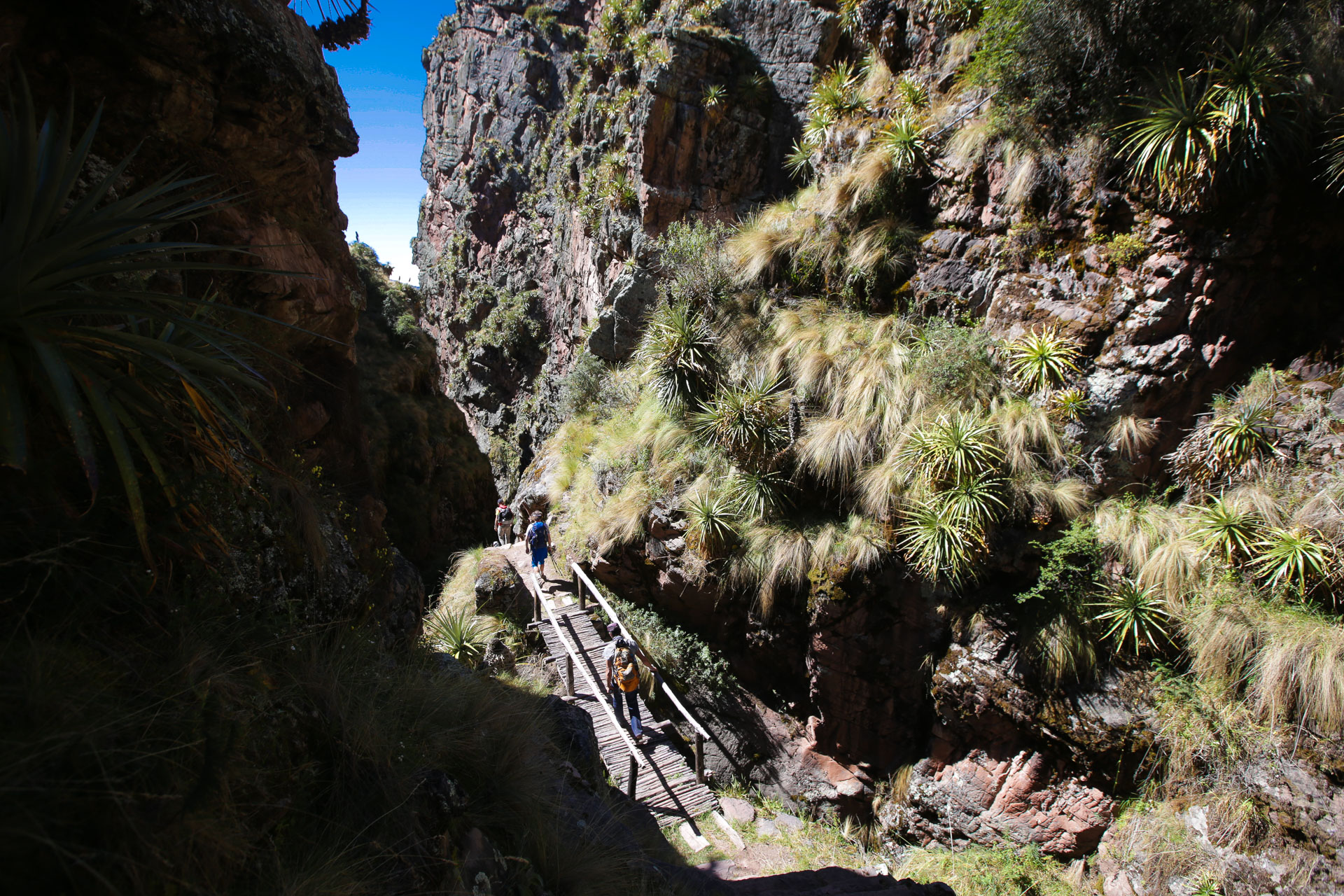 Ambiance tropicale dans la Gorge de Leonpunku - De Patatamba à Lamay