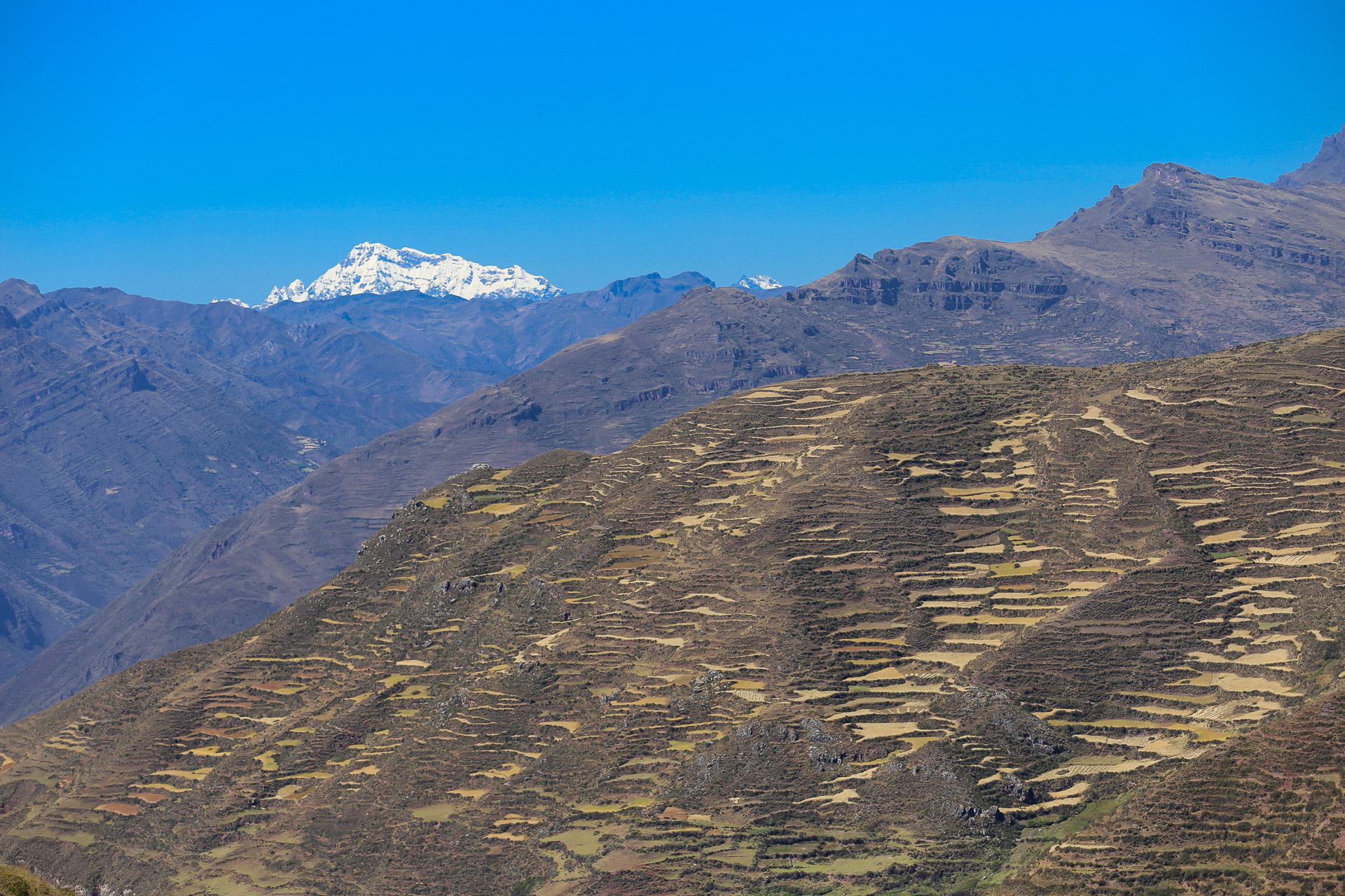 Depuis le Col de Pukamarca, le Nevado Ausangate dans le fond - De Patatamba à Lamay