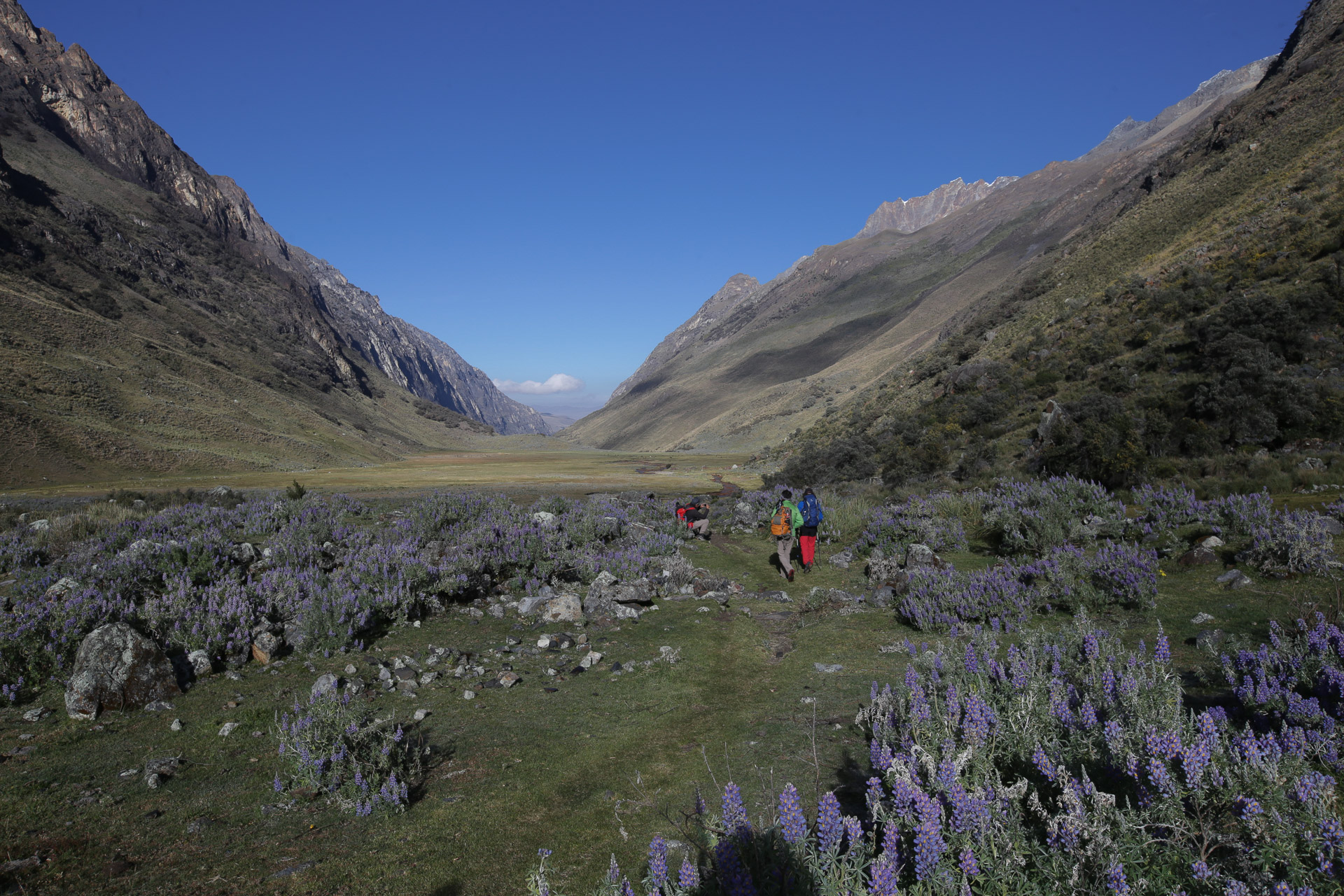 La quebrada Quilcayhuanca