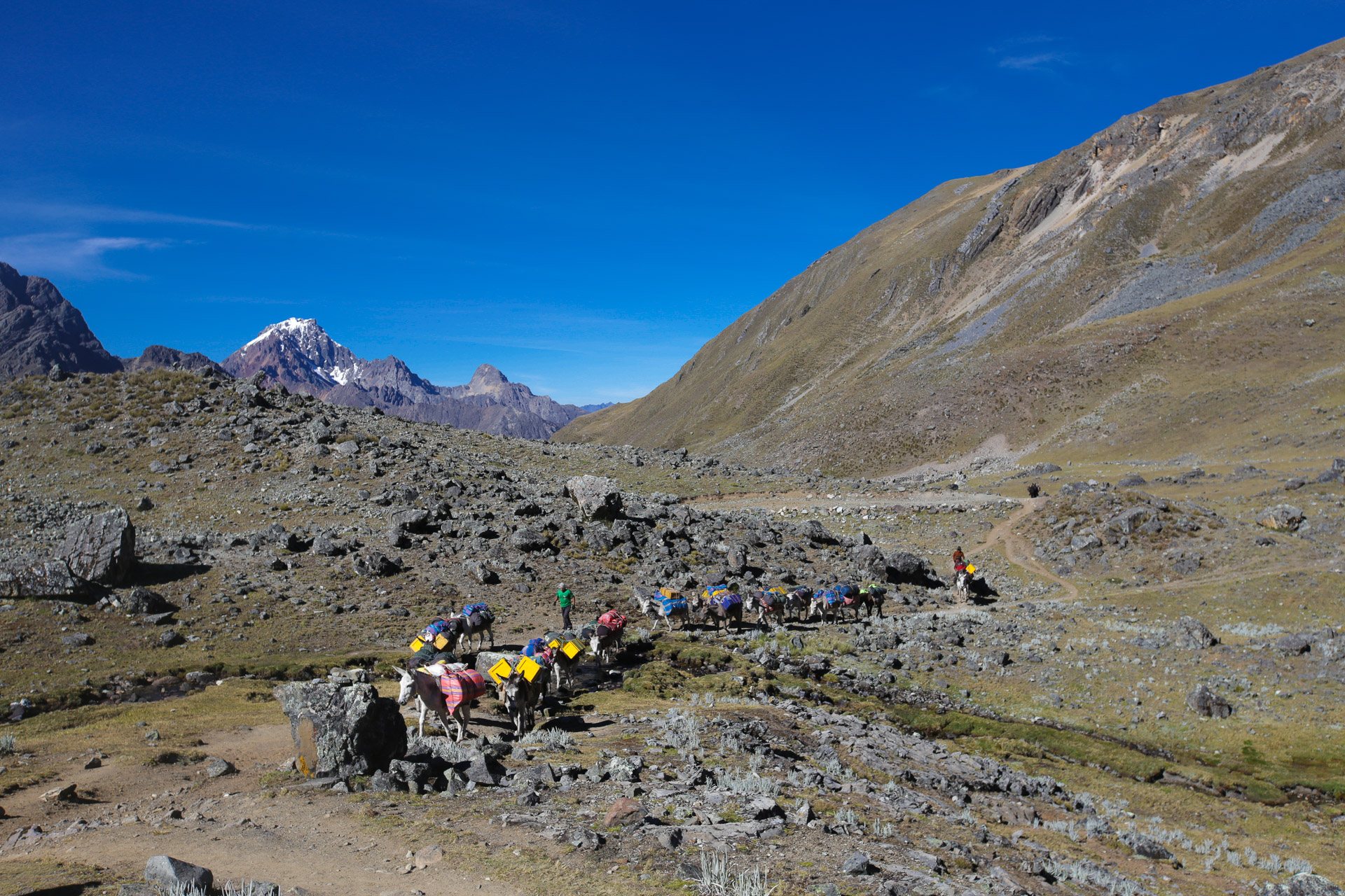 Cols Tapush et Yaucha Punta