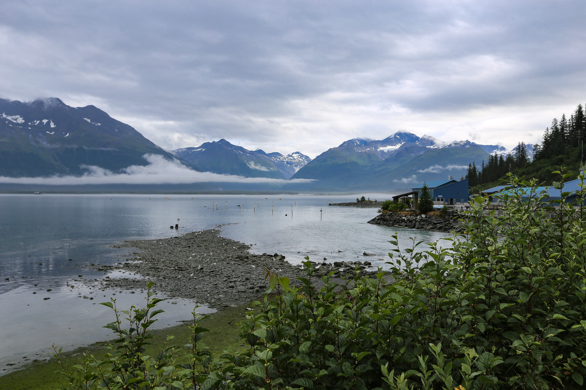 Dans le fjord de Valdez