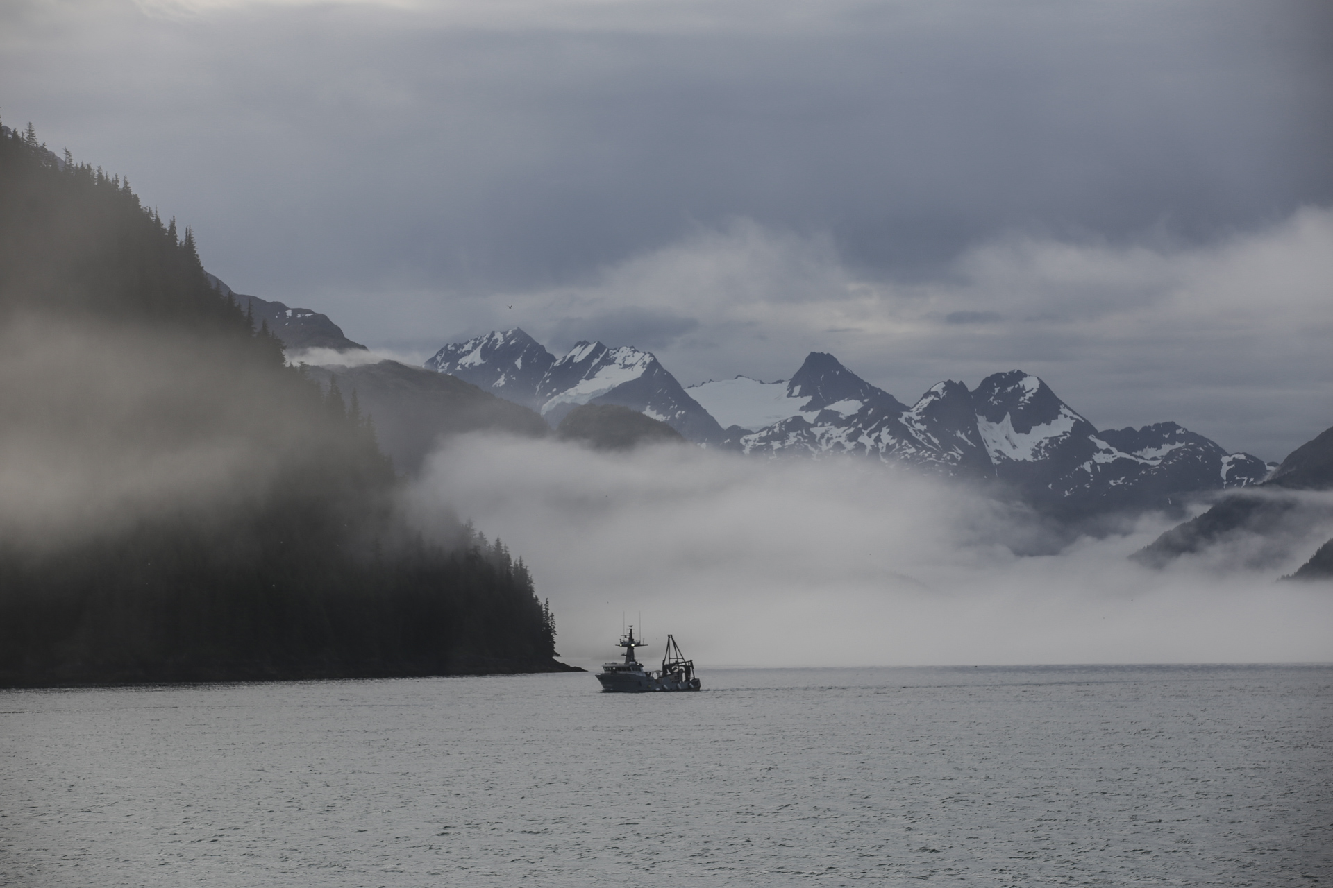 Tels des fantômes, les bateaux de pêche sortent de la brume