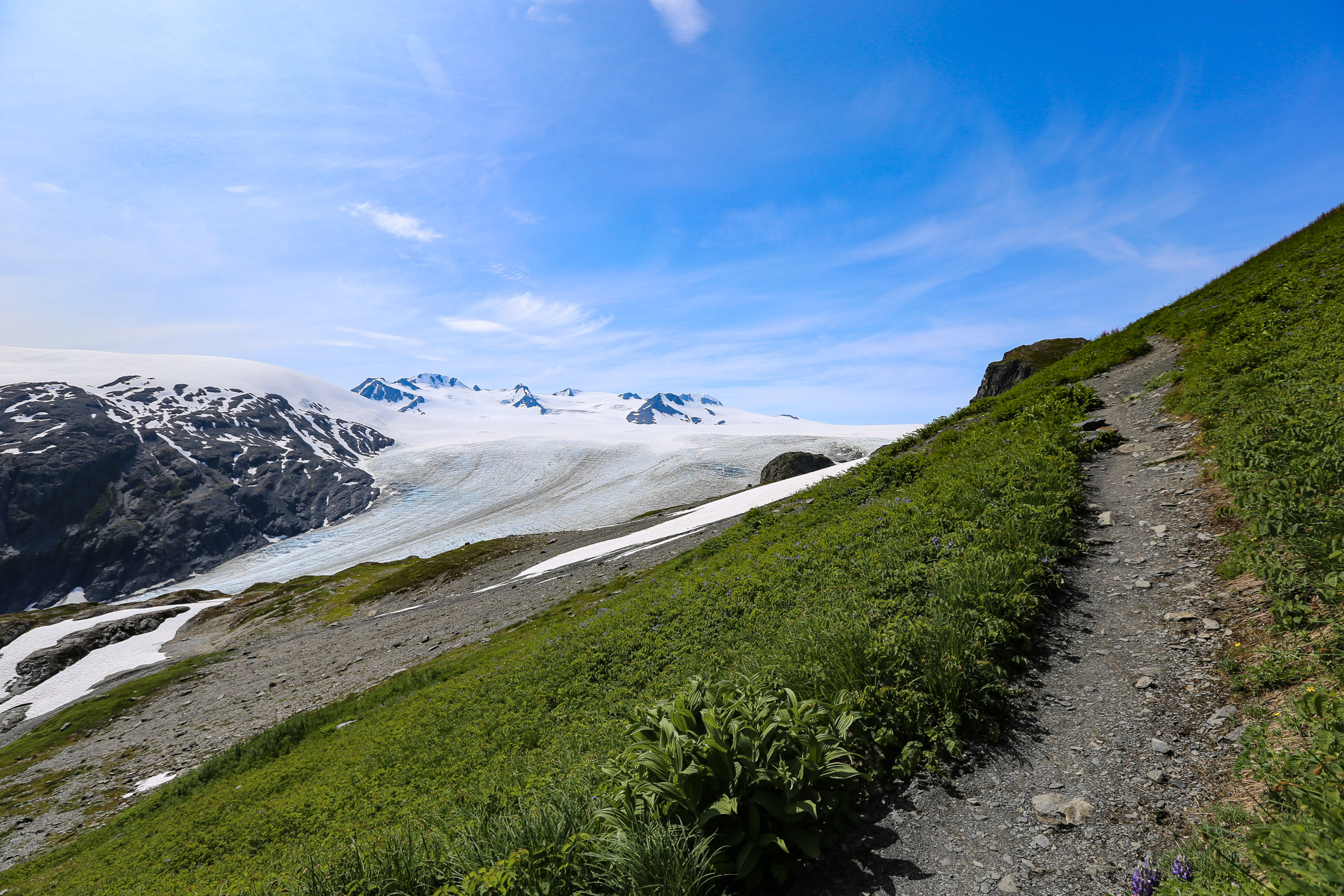 Harding Icefield Trail descente