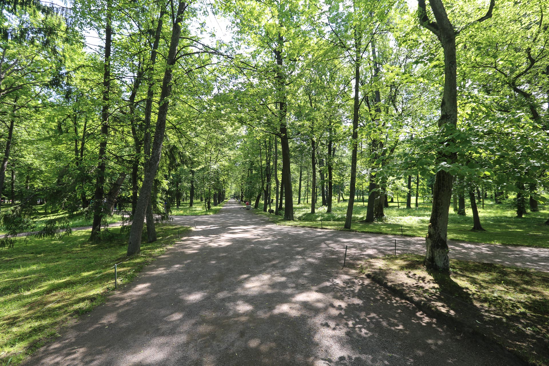 Peterhof