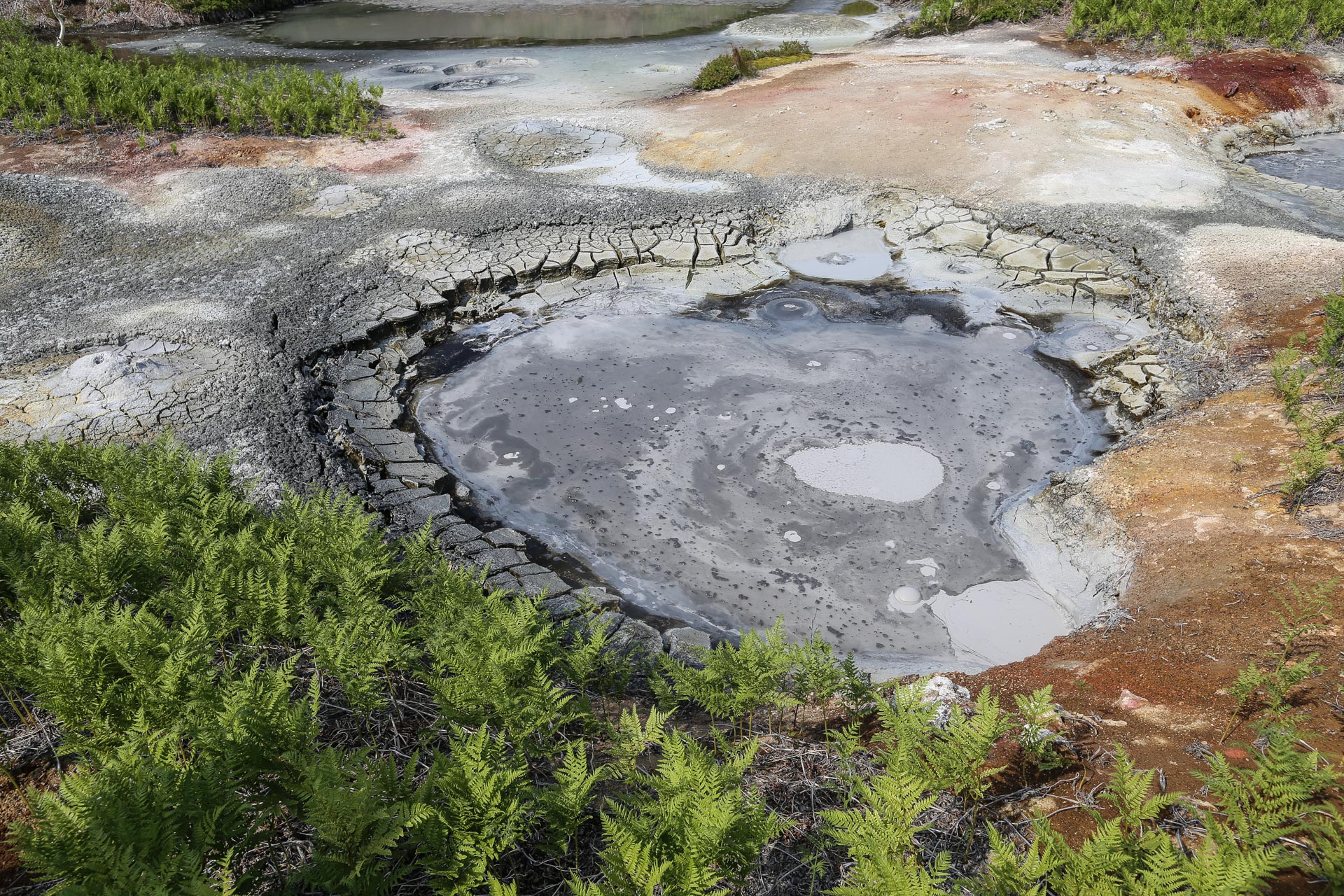 Mud Pot Kamtchatka