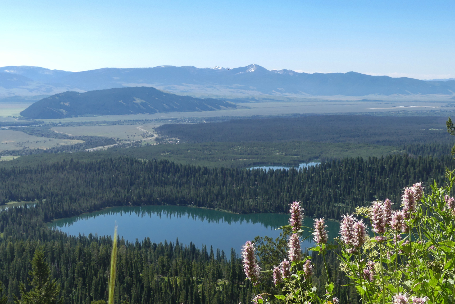 Jackson Lake et Amphitheatre Lake