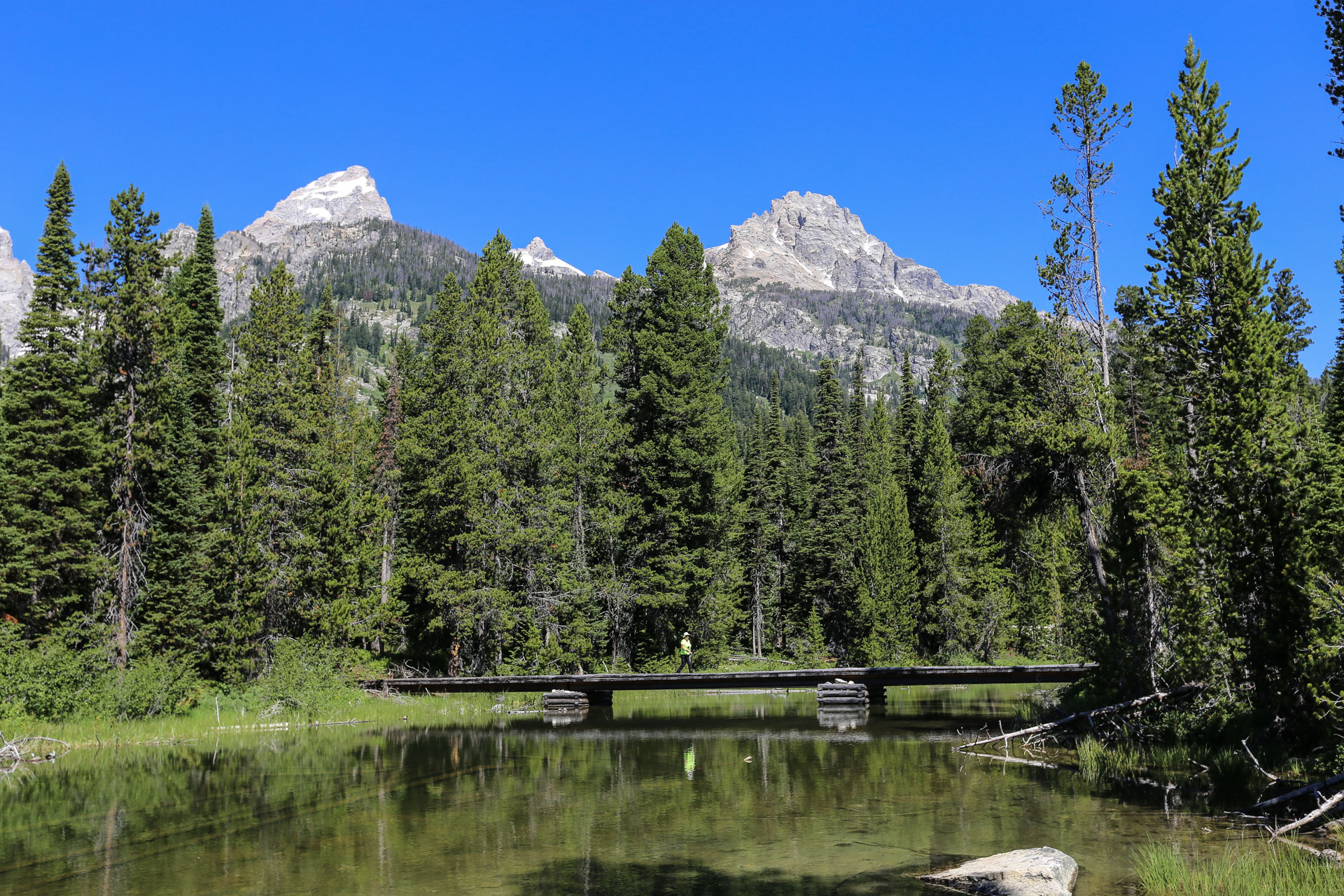 Pont qui traverse Bradley Lake