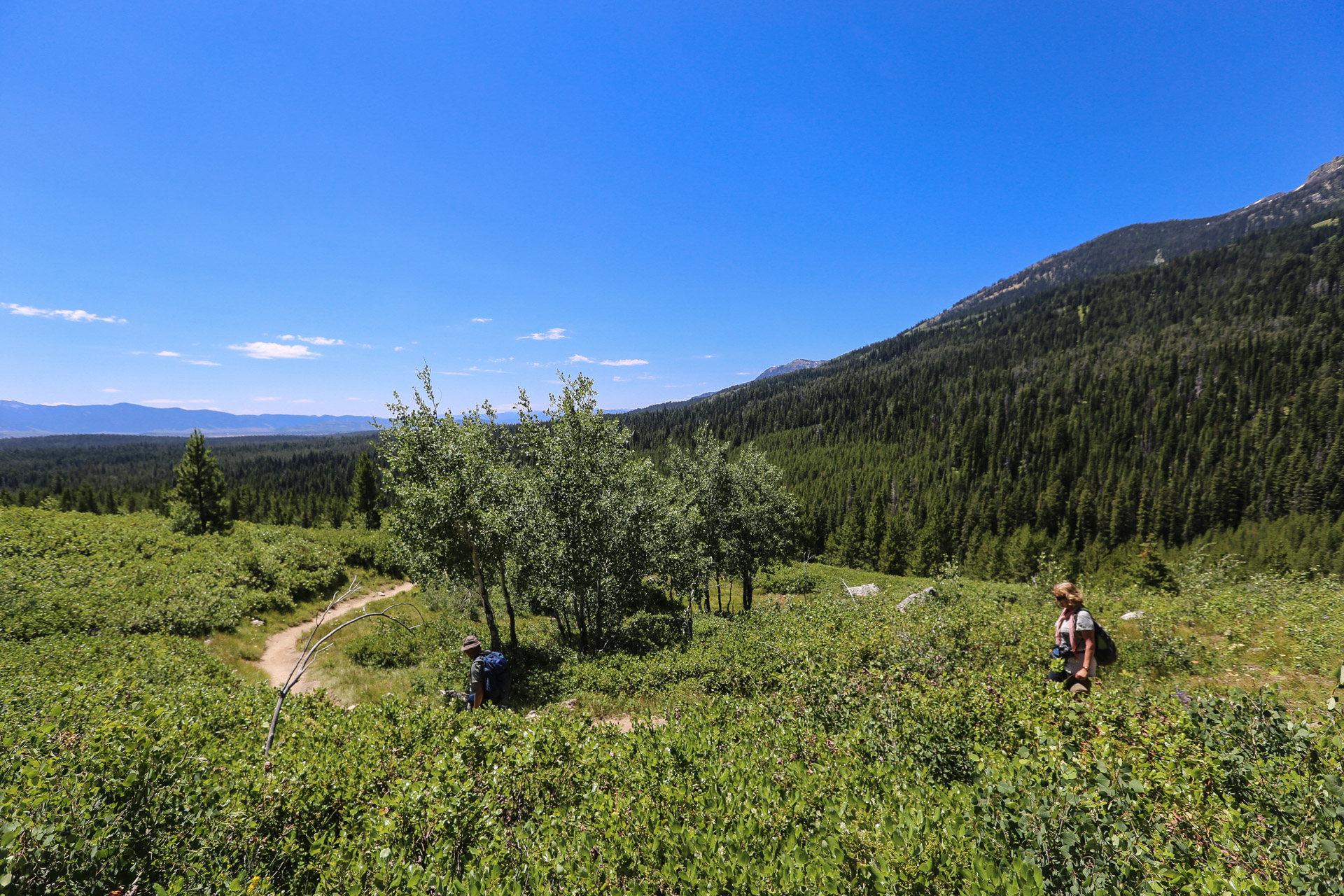  redescente de Taggart Lake