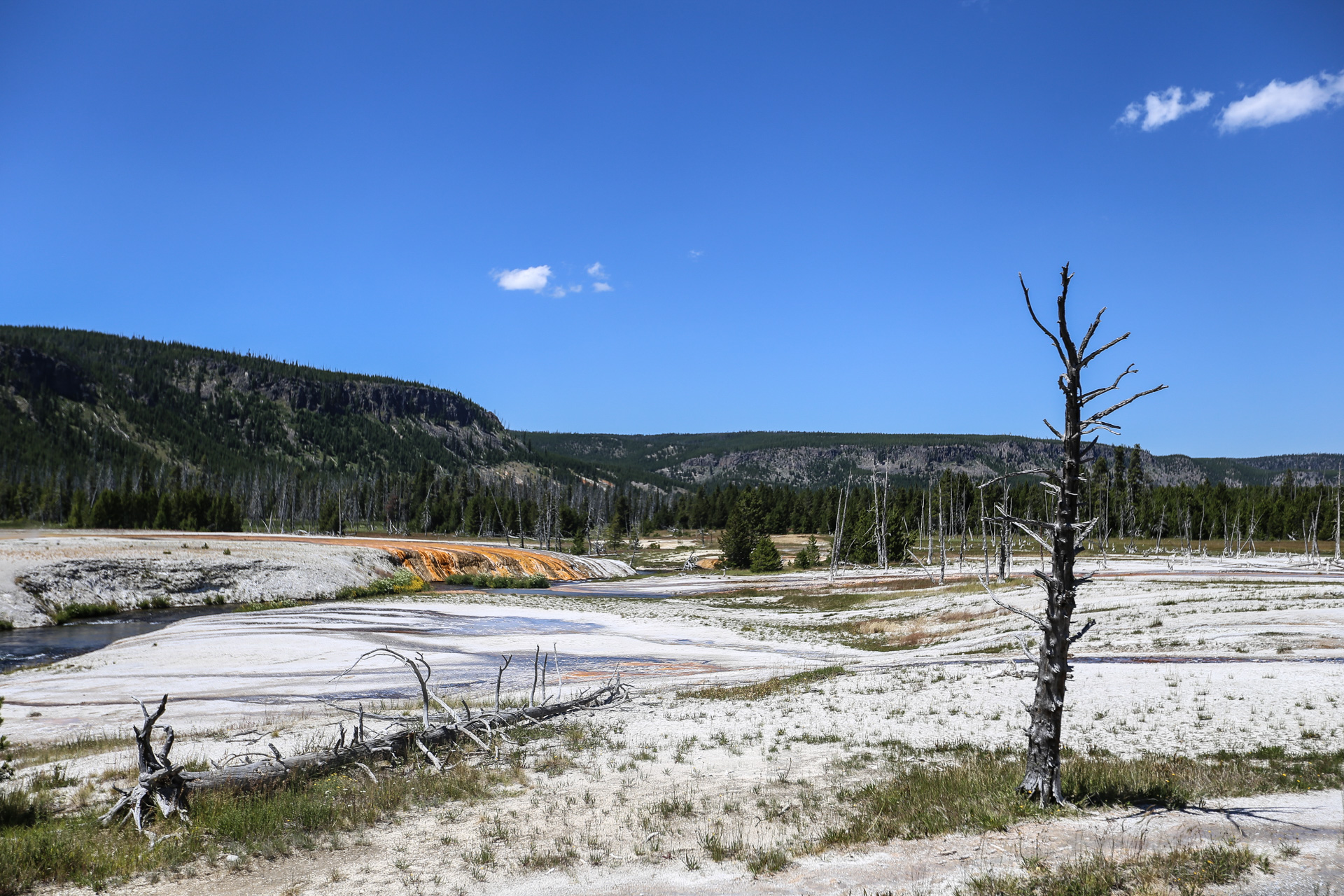 West Yellowstone