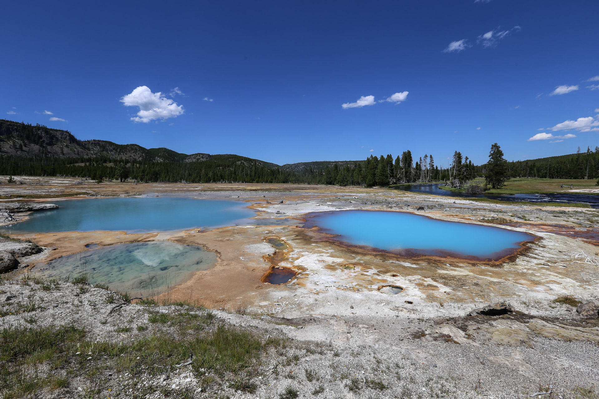 Biscuit Basin avec ses couleurs de piscines étranges