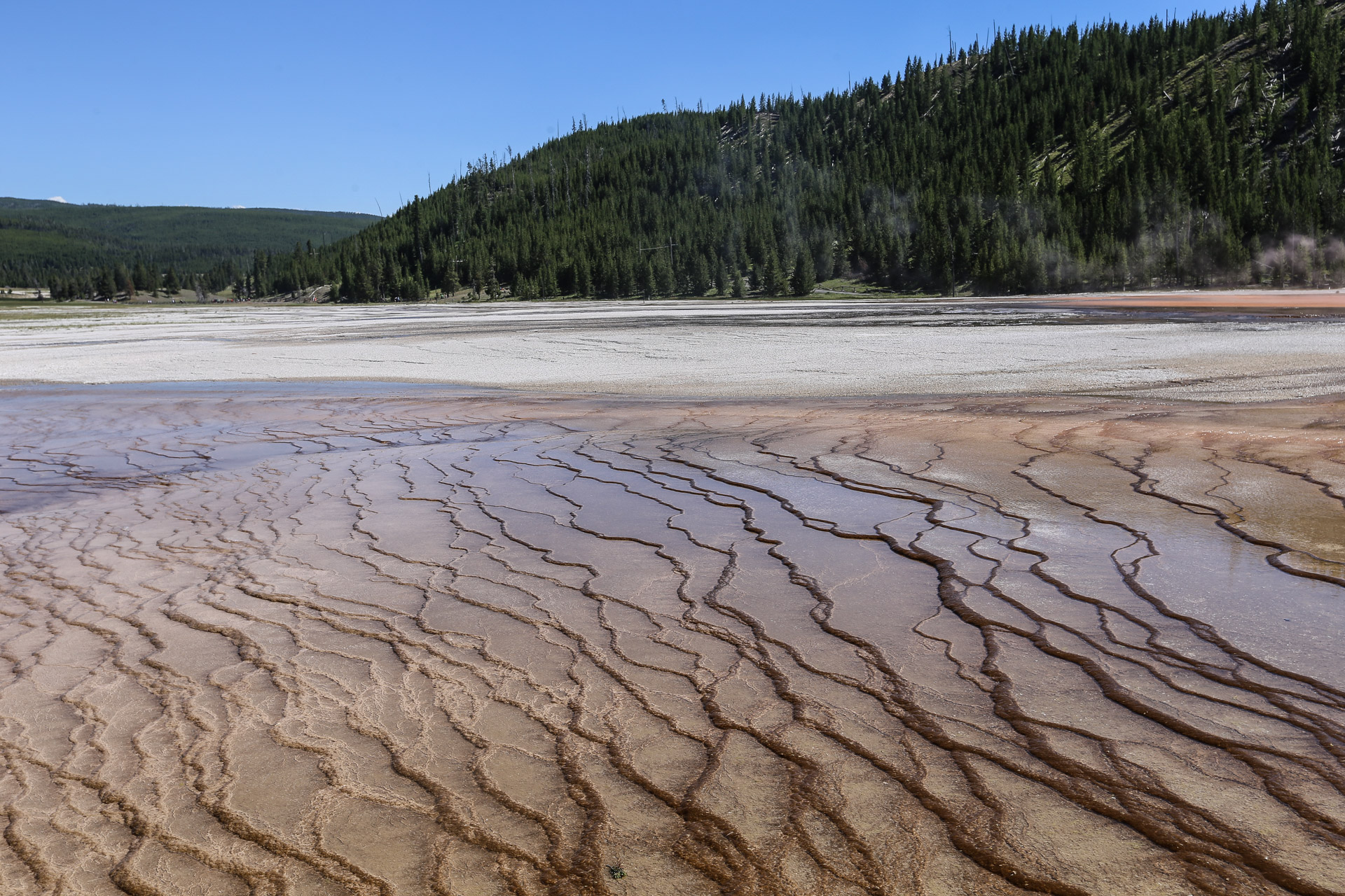 Midway Geyser Basin