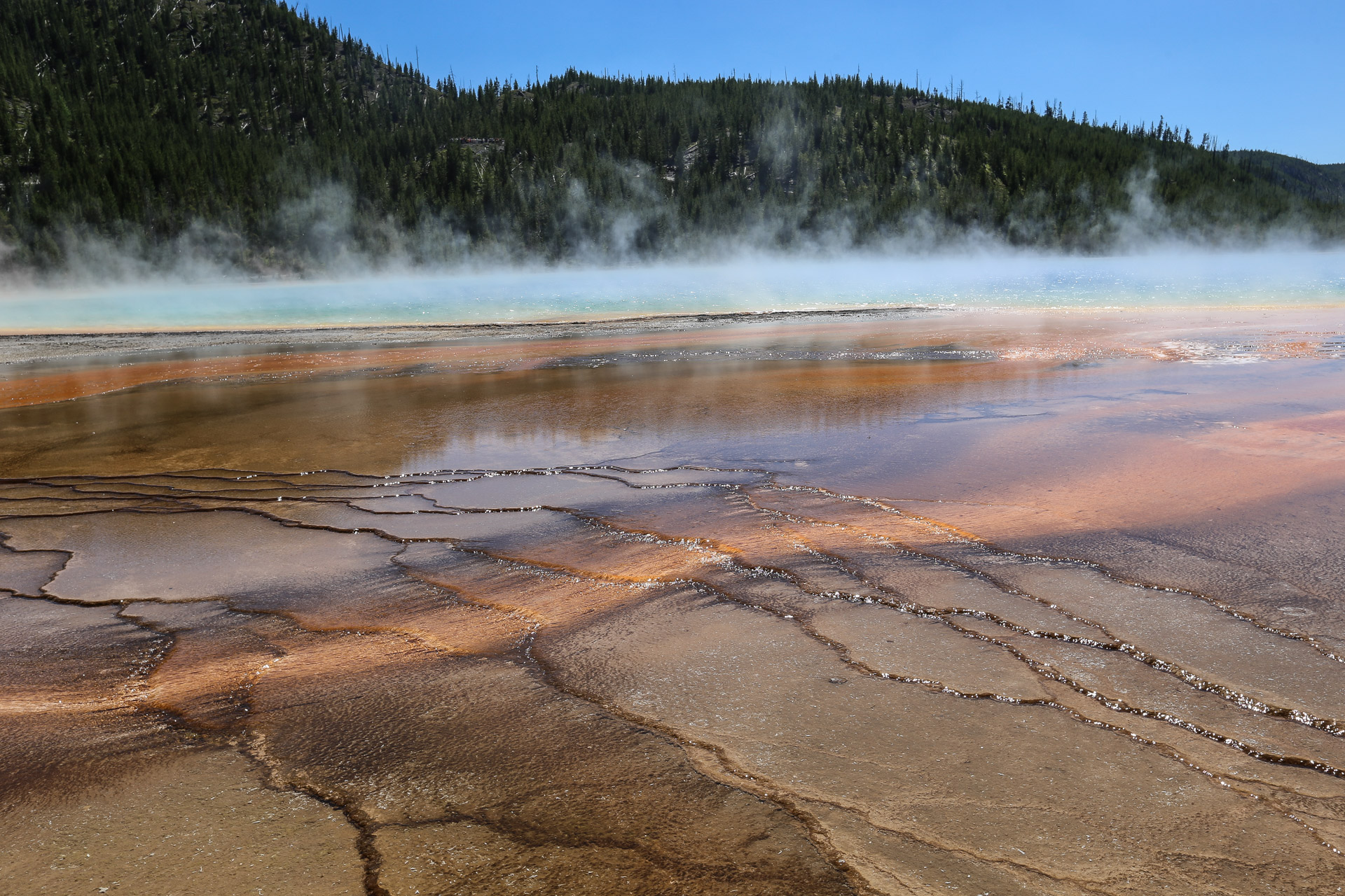 Midway Geyser Basin