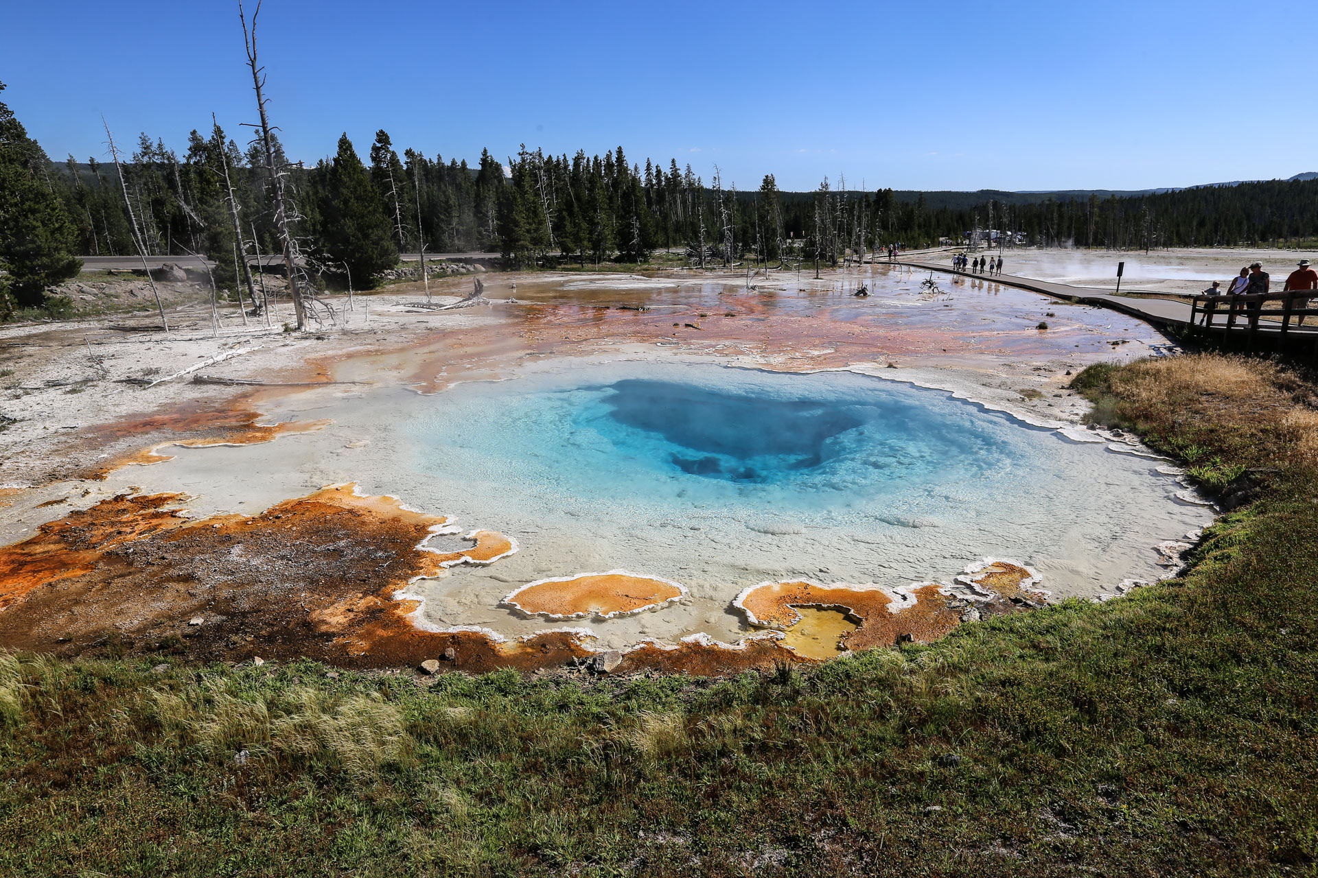 Midway Geyser Basin