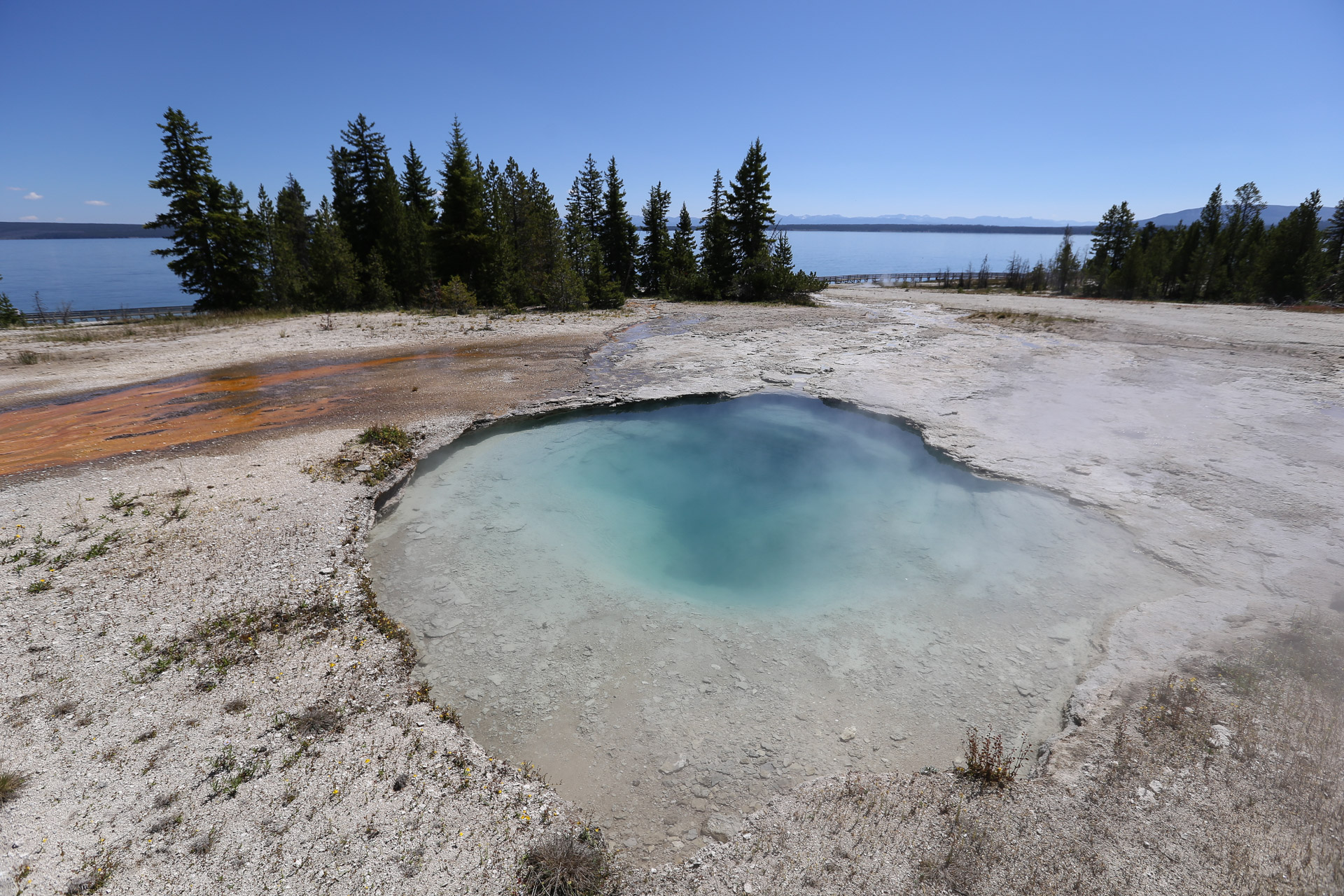 West Thumb, piscine à 100°