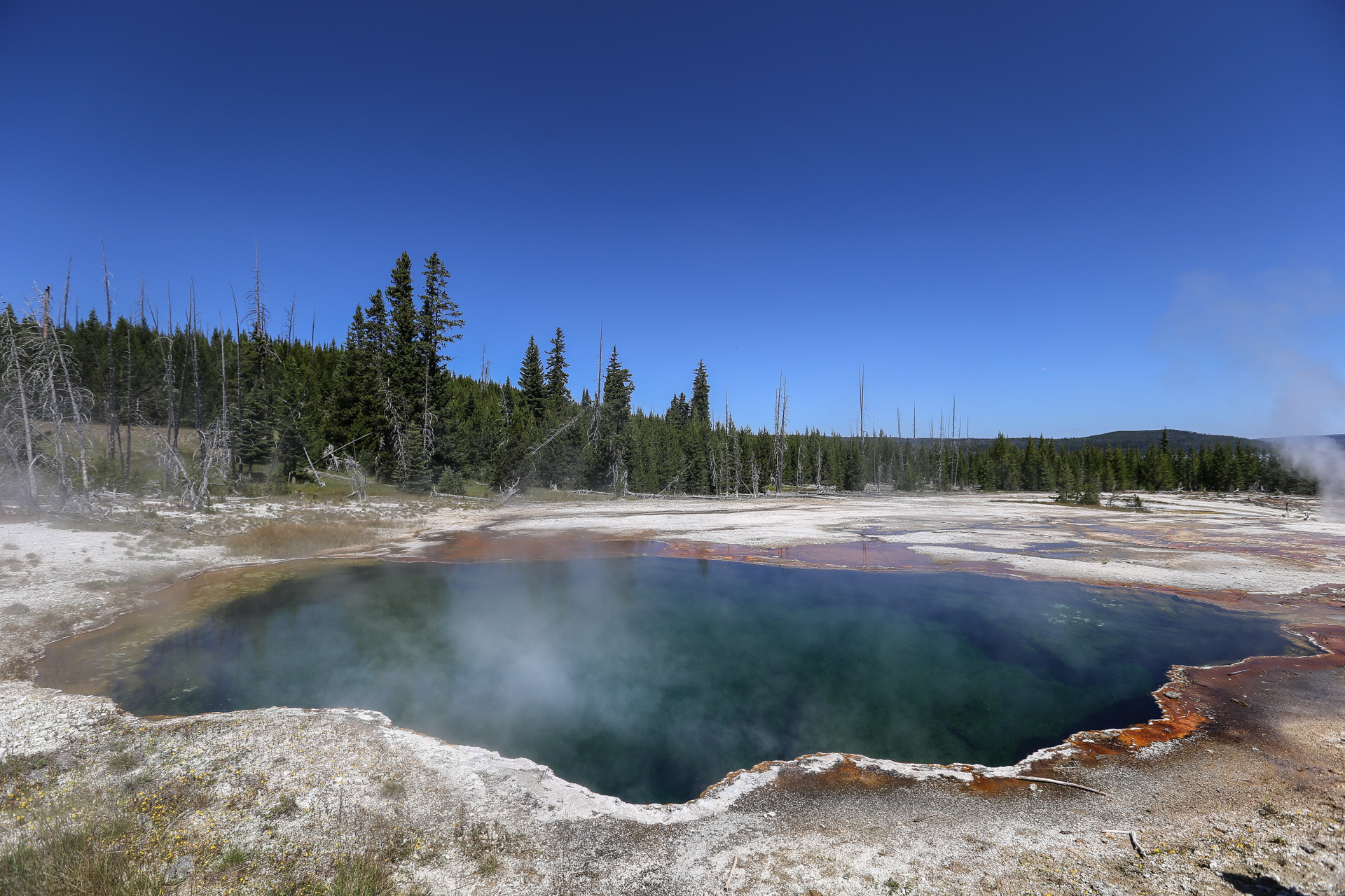 West Thumb, piscine à 100°