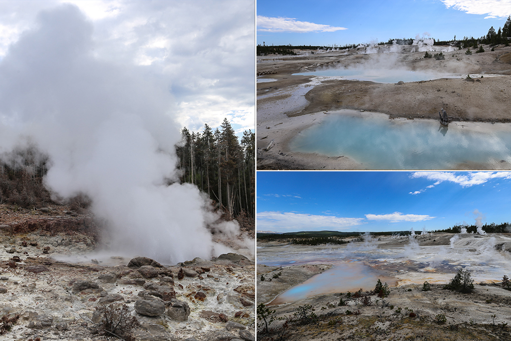 Norris Geyser Basin. Le geyser en activité est celui de Steamboat