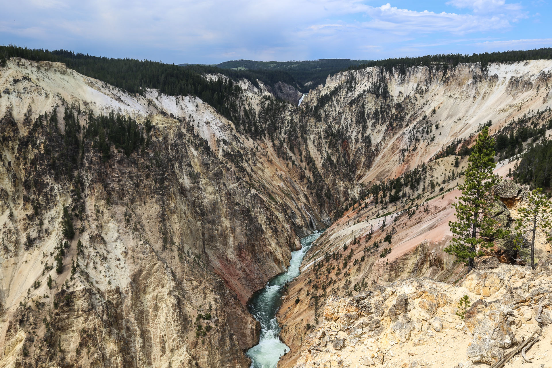 Depuis Inspiration Point, les Lower Falls apparaissent tout au fond