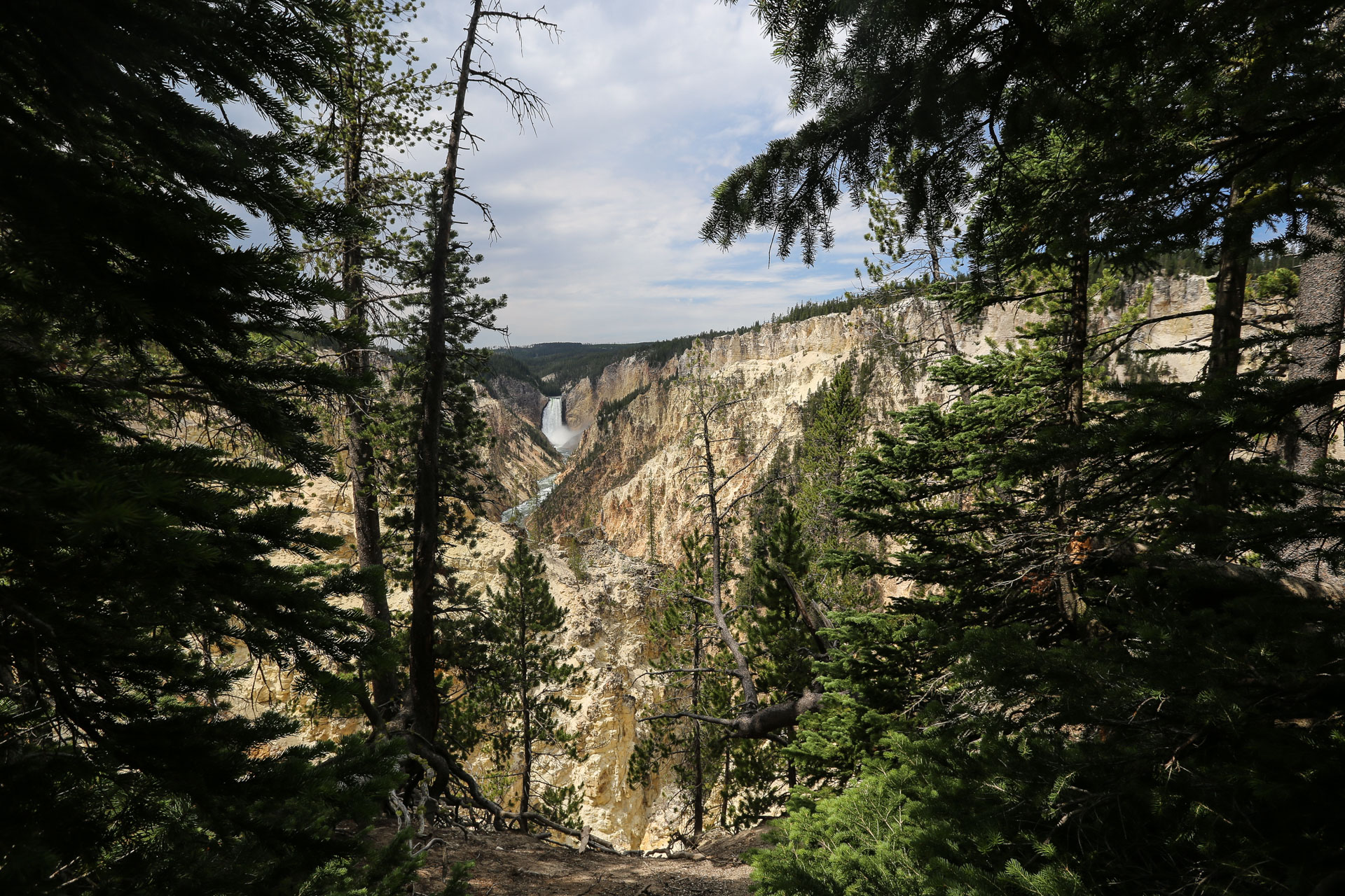 Lower Falls depuis Artist Point