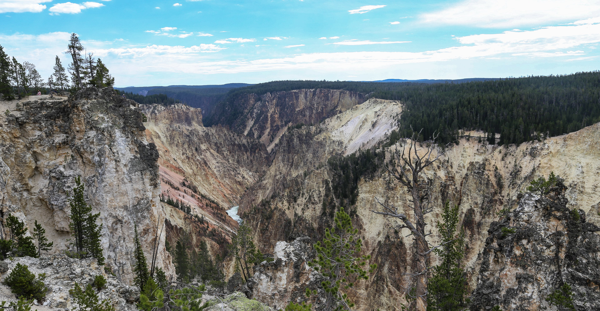 aval des chutes Lower FALLS