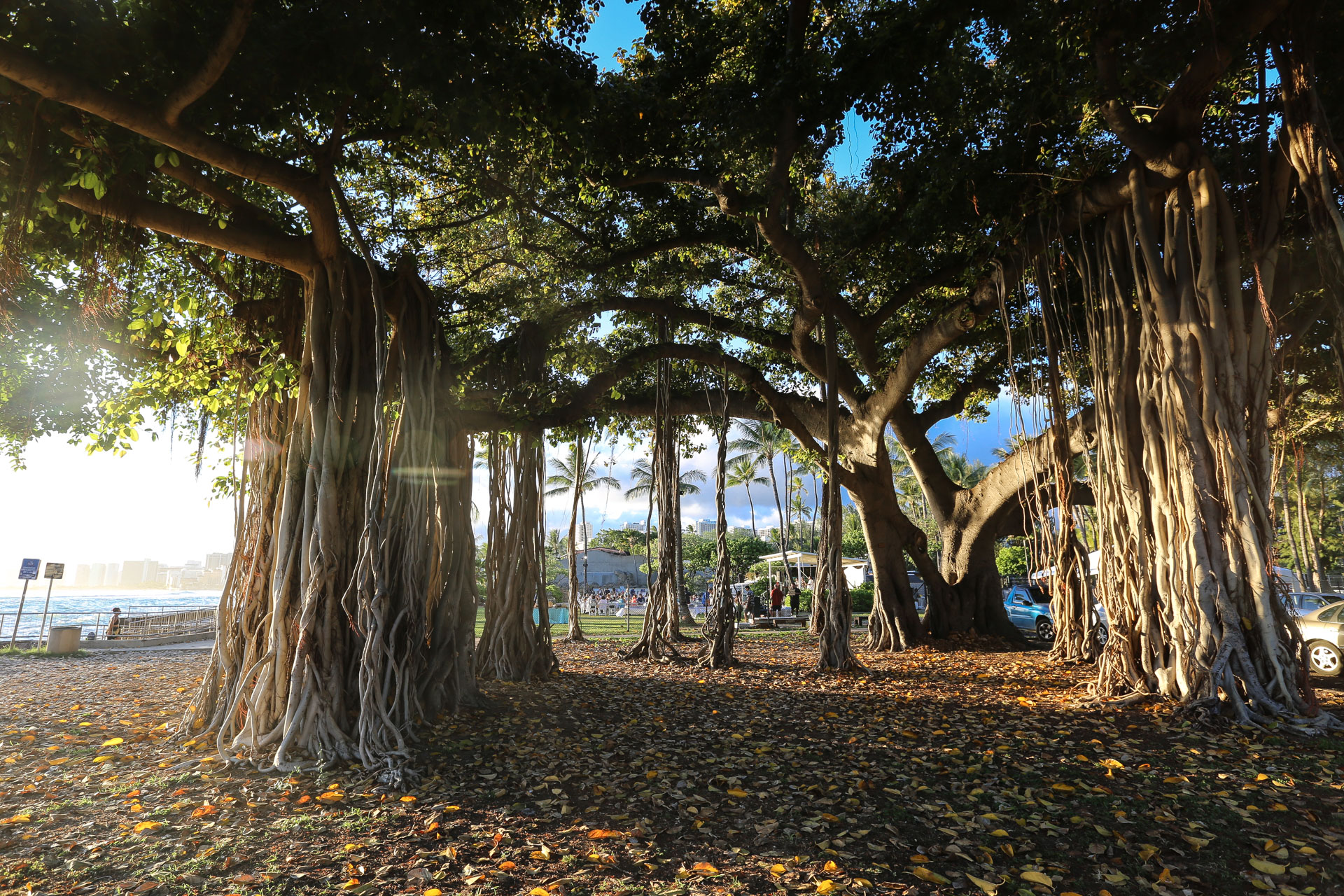 Hawaï - l’île d’O’Ahu