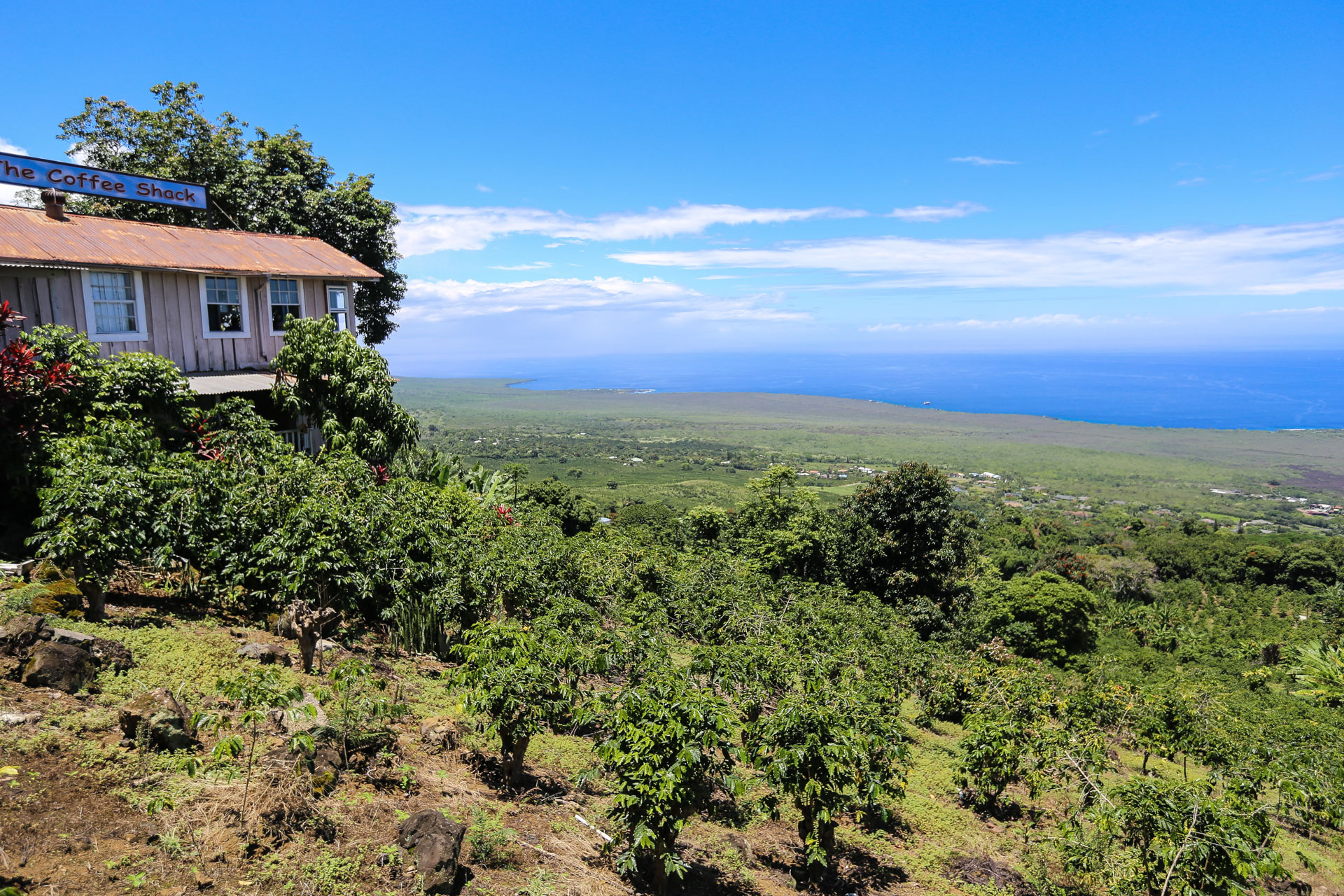 Cafe Shack, au-dessus de la baie Kealakekua