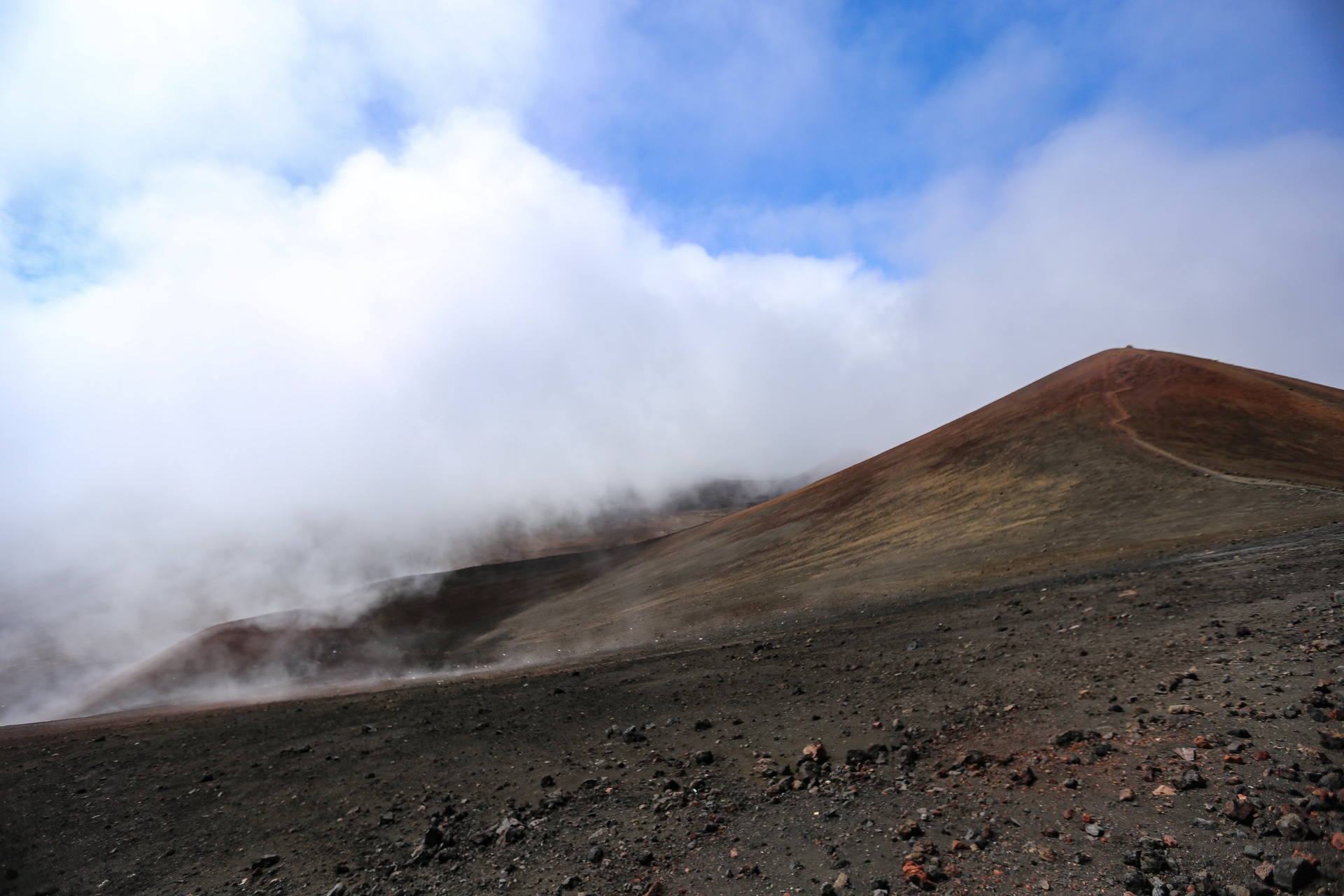 Big Island : du Mauna Kea au bord de mer