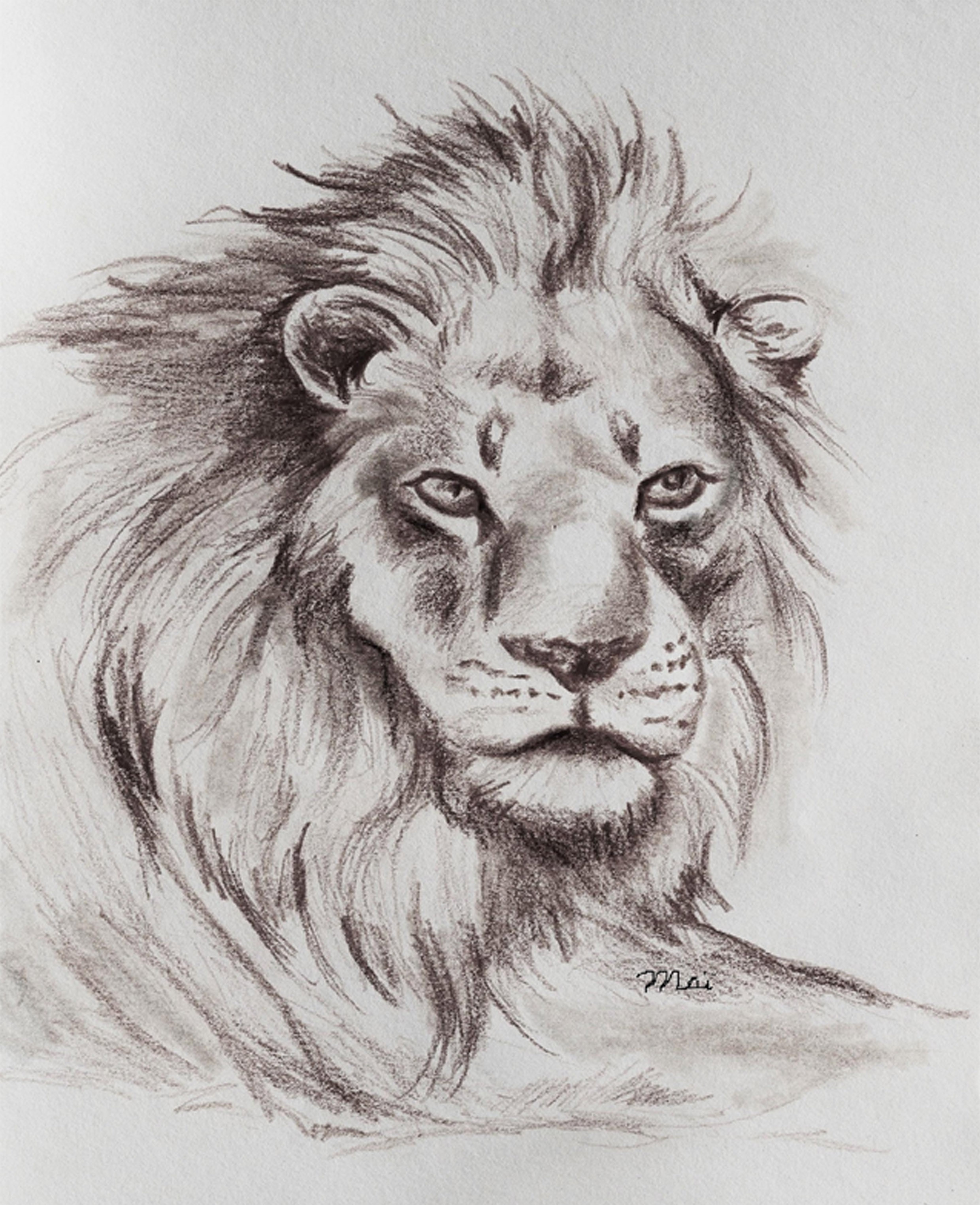 lion