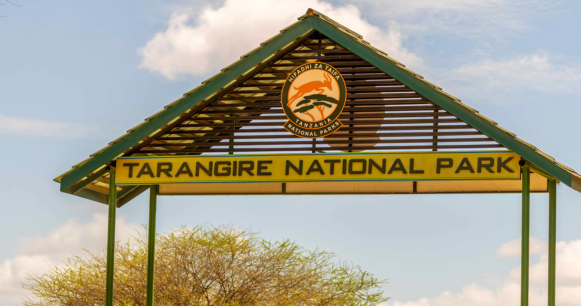 Parc National de Tarangire