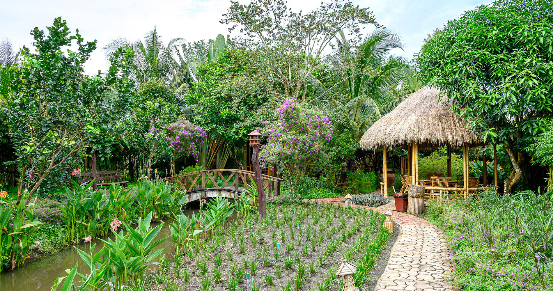 Bamboo village