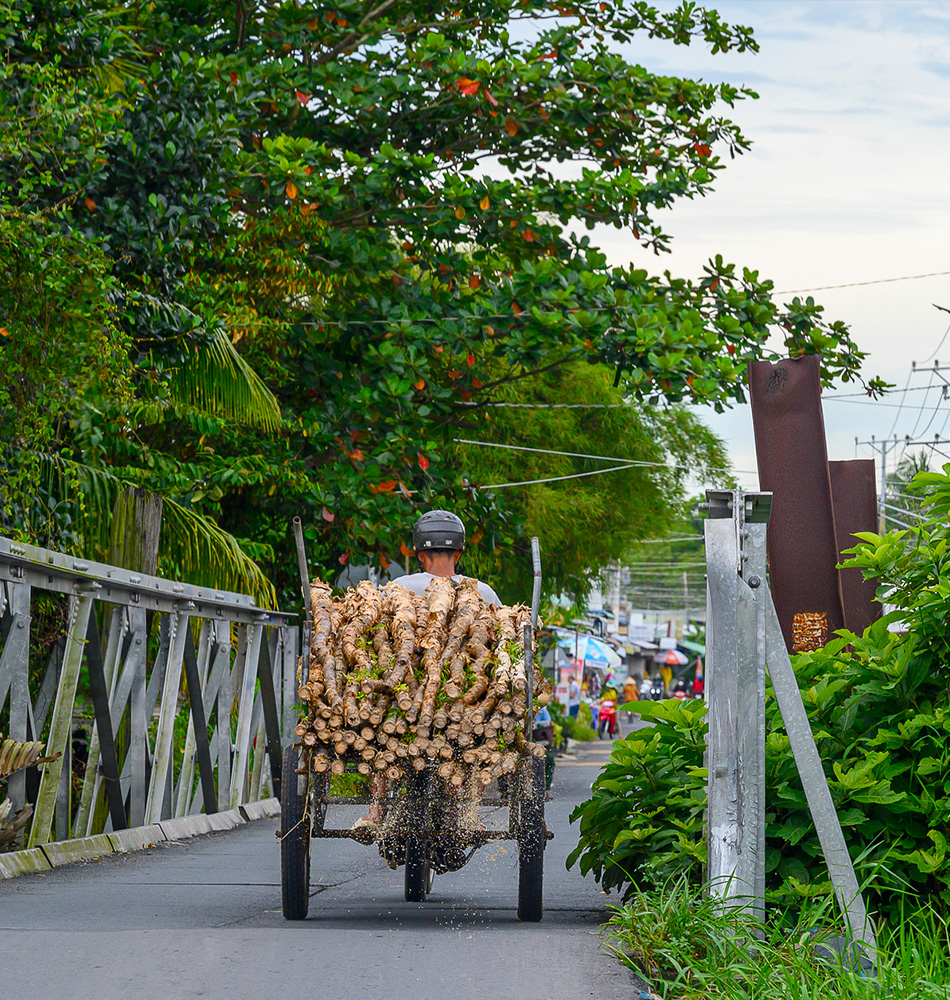 Bamboo village