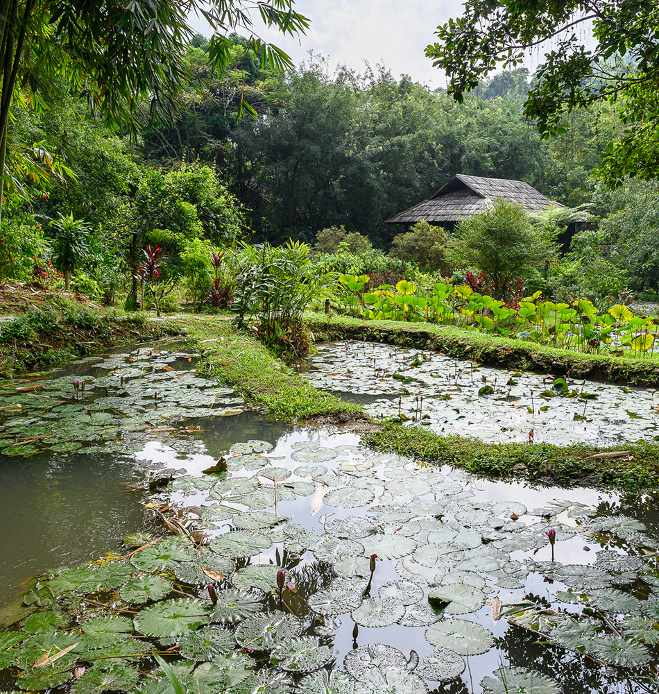 Lodge de Panhou 