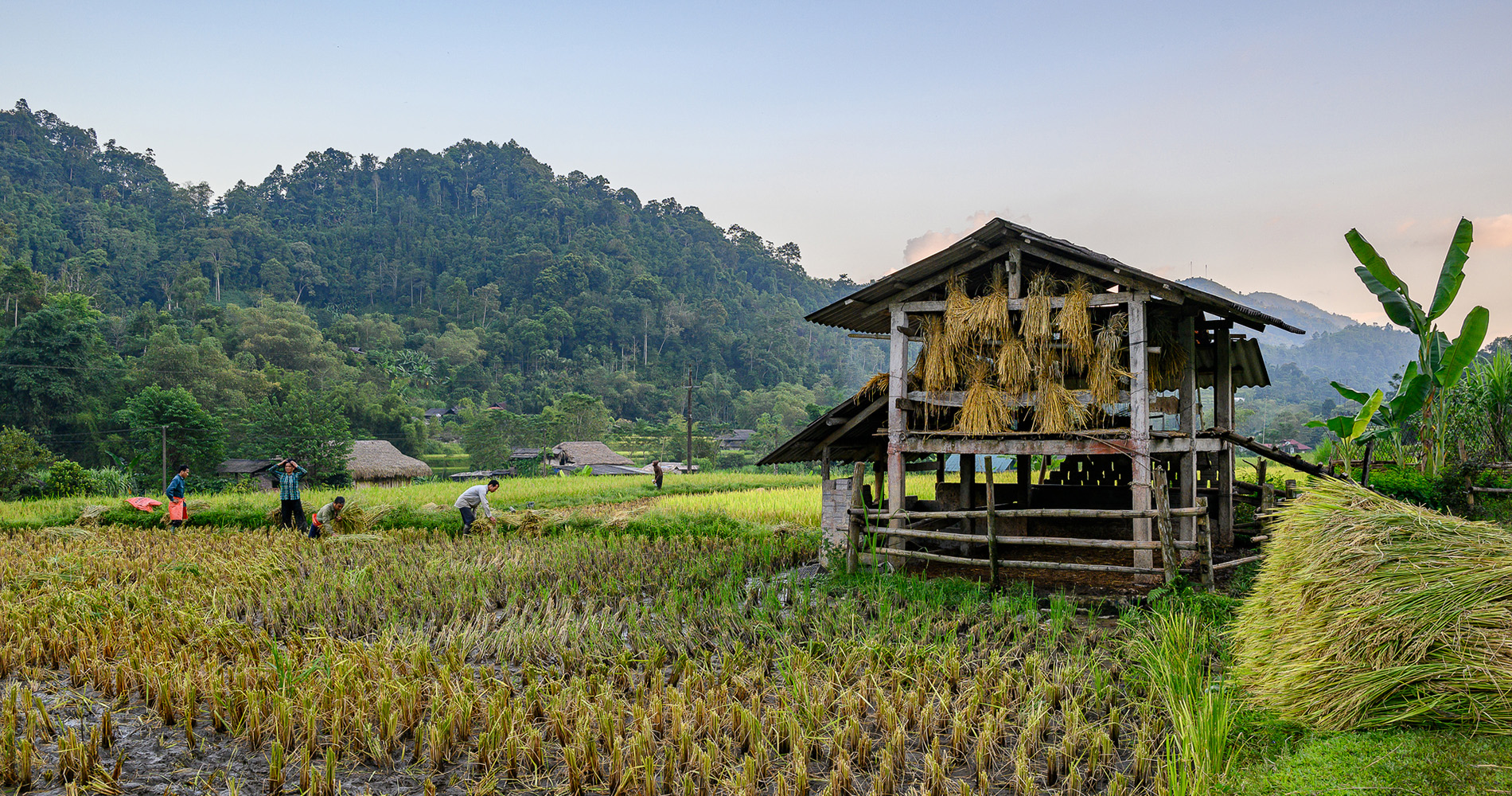 Lodge Pan Hou