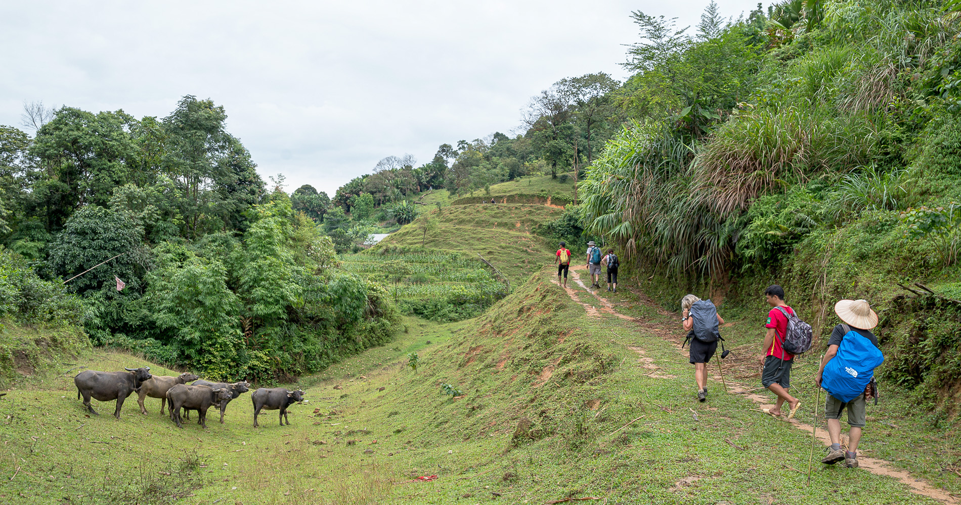 Trek jour 5