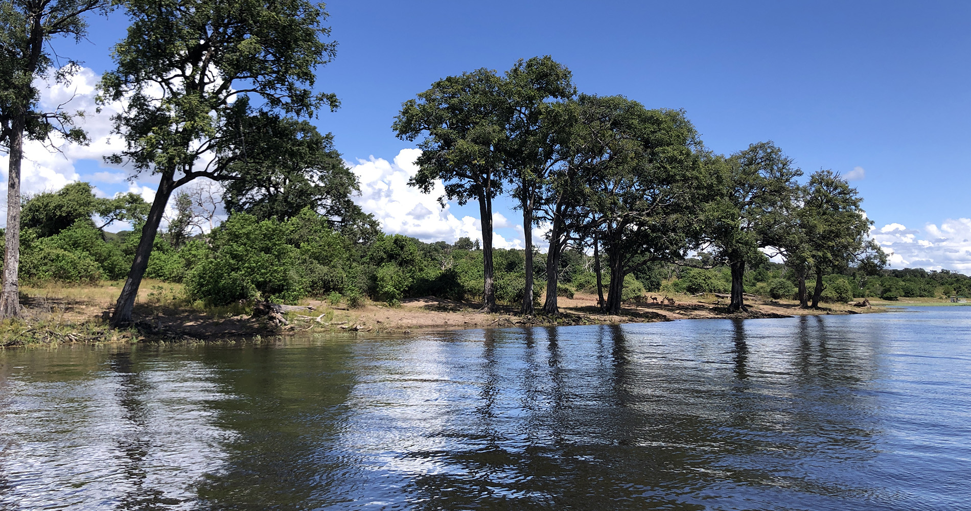 safari sur l'eau