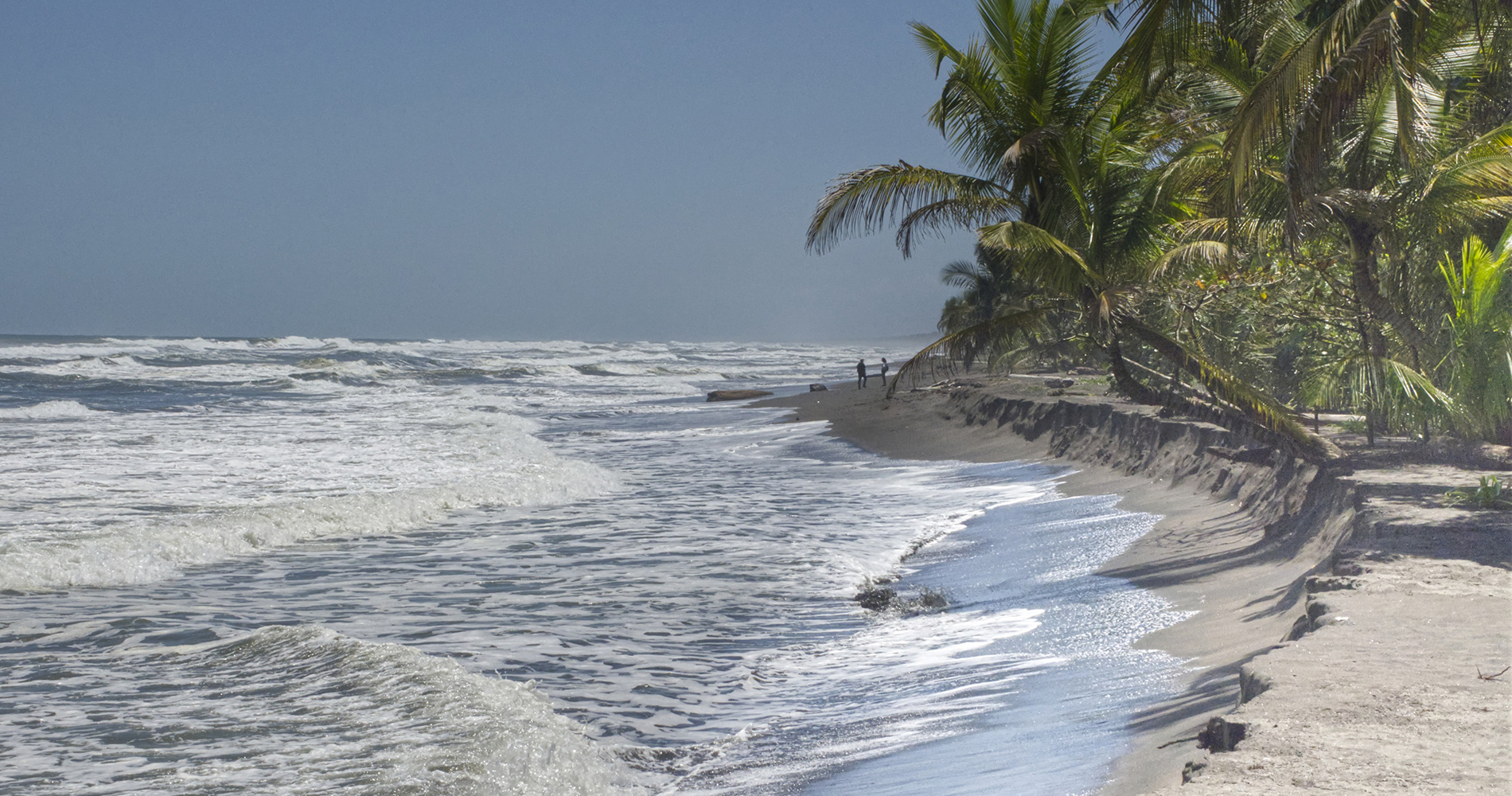 La plage sauvage de Tortuguero