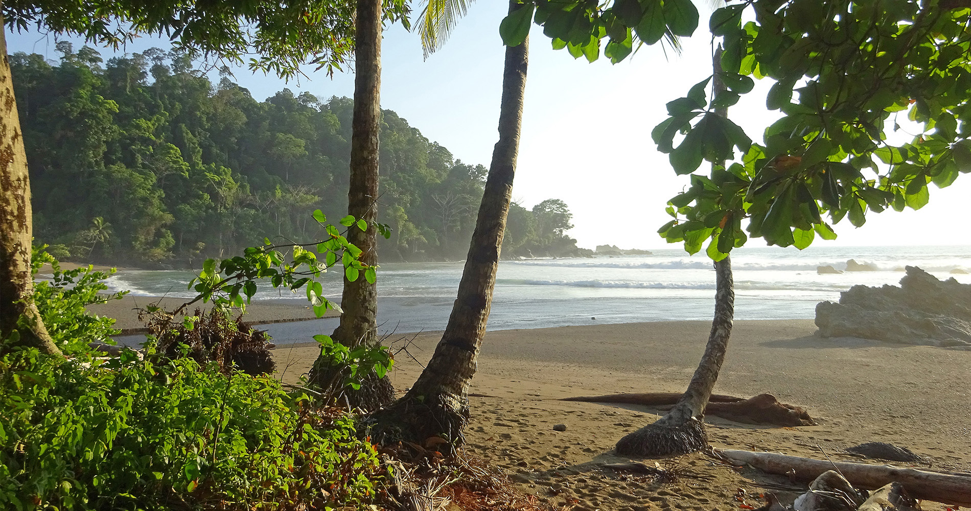 Plage sauvage de Corcovado