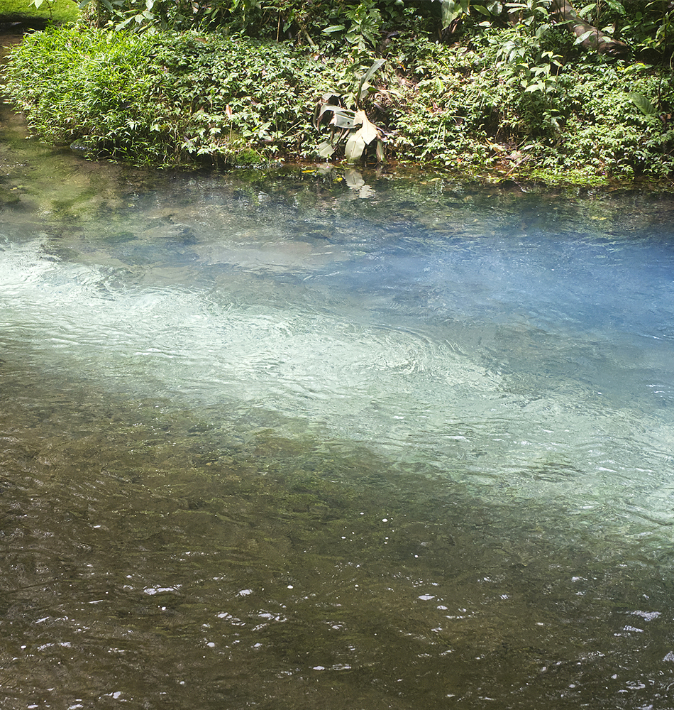 Rio Céleste, la teinturerie