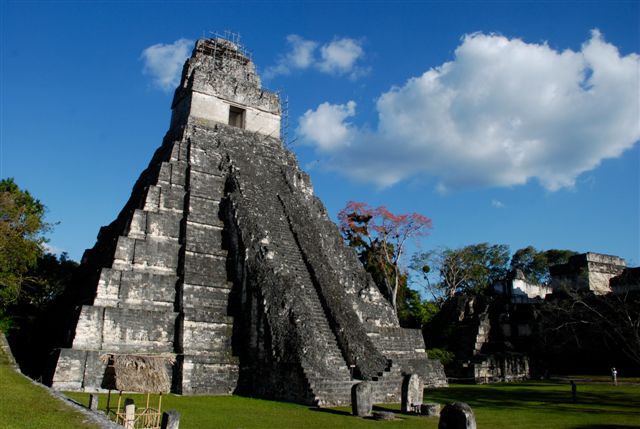 Tikal, splendeur Maya