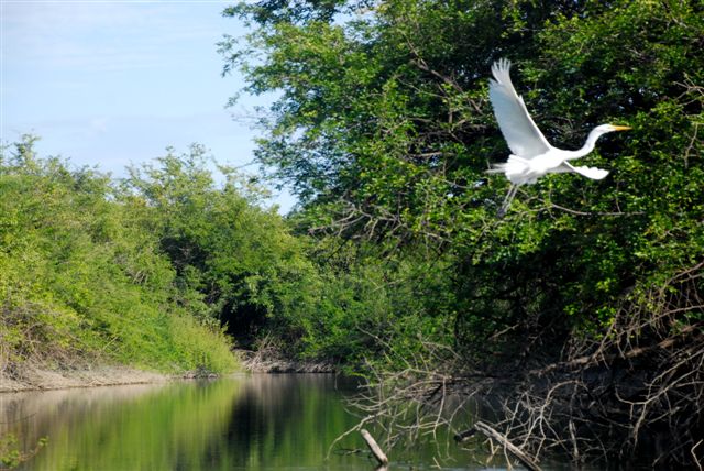 Des hautes Terres à la jungle du Peten