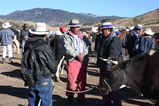 Marché de campagne près de Ventosa - Début du trek dans la Sierra de los Cuchumatanes