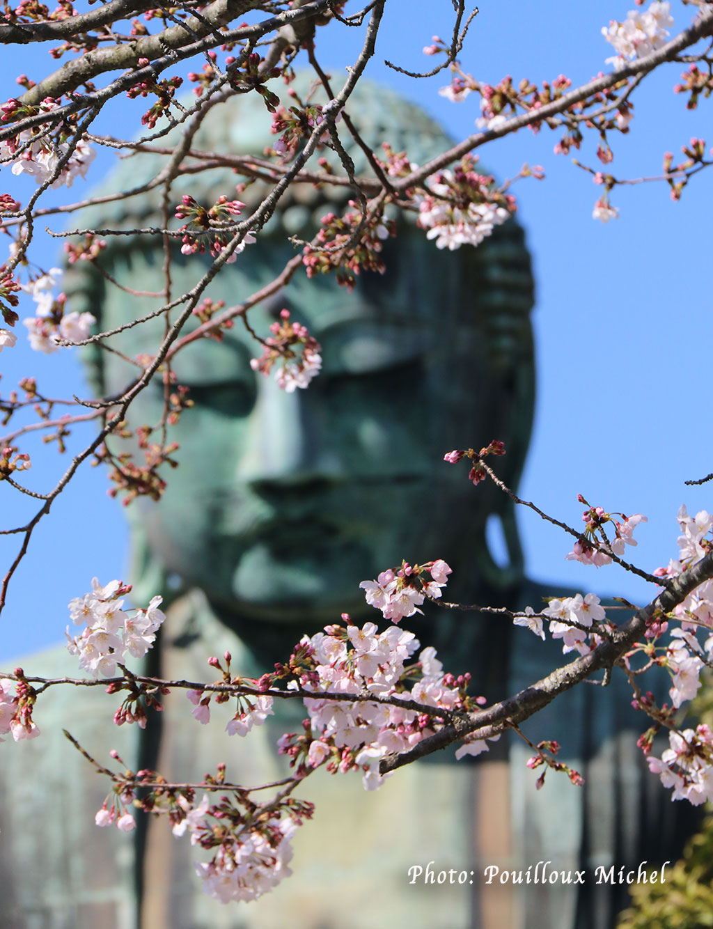 Le Grand Bouddha de Kamakura