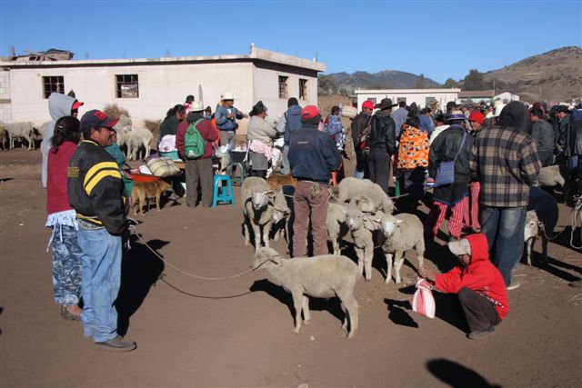 Marché de campagne près de Ventosa - Début du trek dans la Sierra de los Cuchumatanes