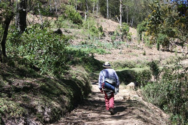 Trek dans la Sierra de Los Cuchumatanes