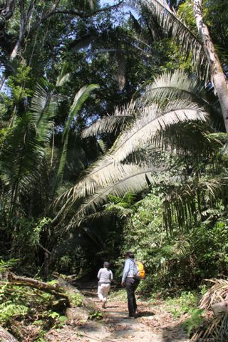 Des hautes Terres à la jungle du Peten