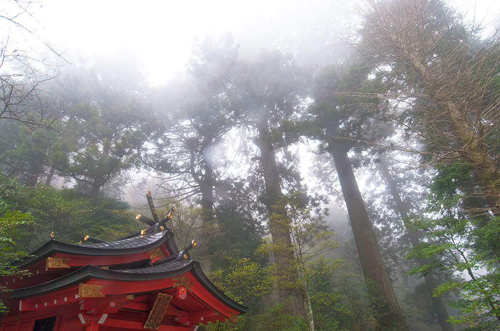 Sanctuaire shintoïste dans la foret de Hakone
